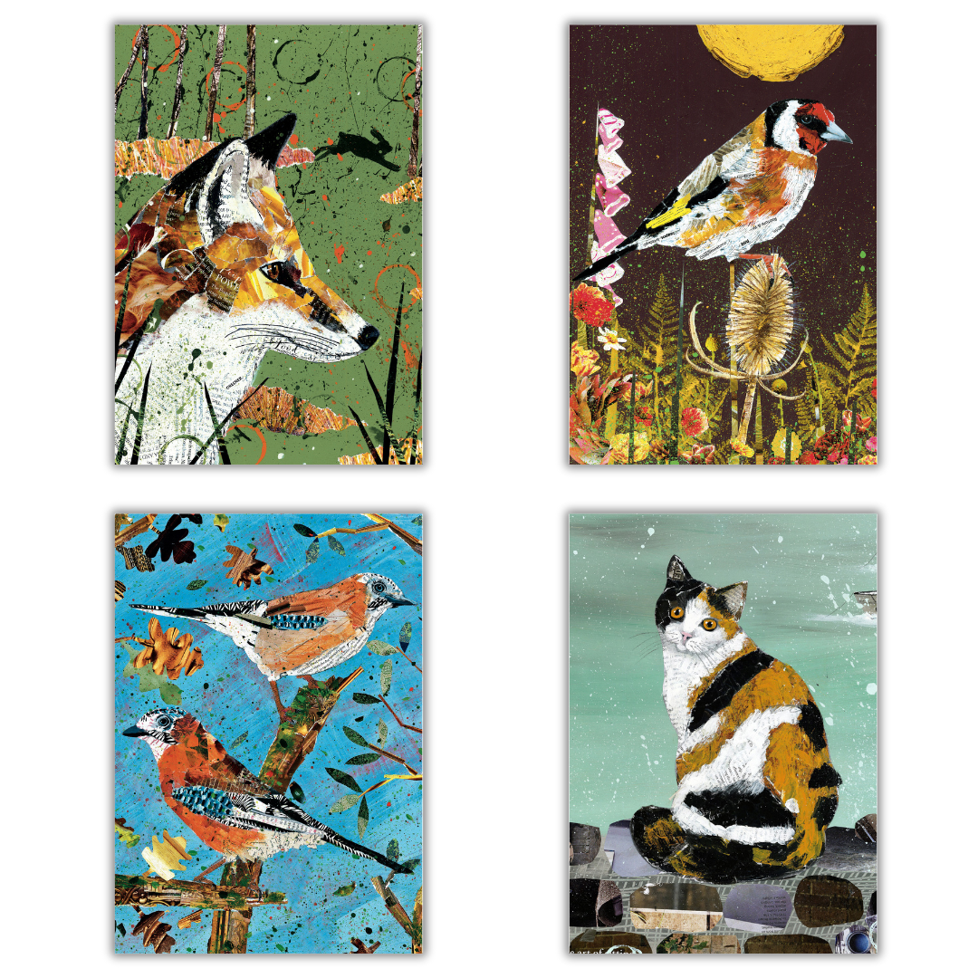 Set of 4 illustrated greeting cards | Adam James Severn