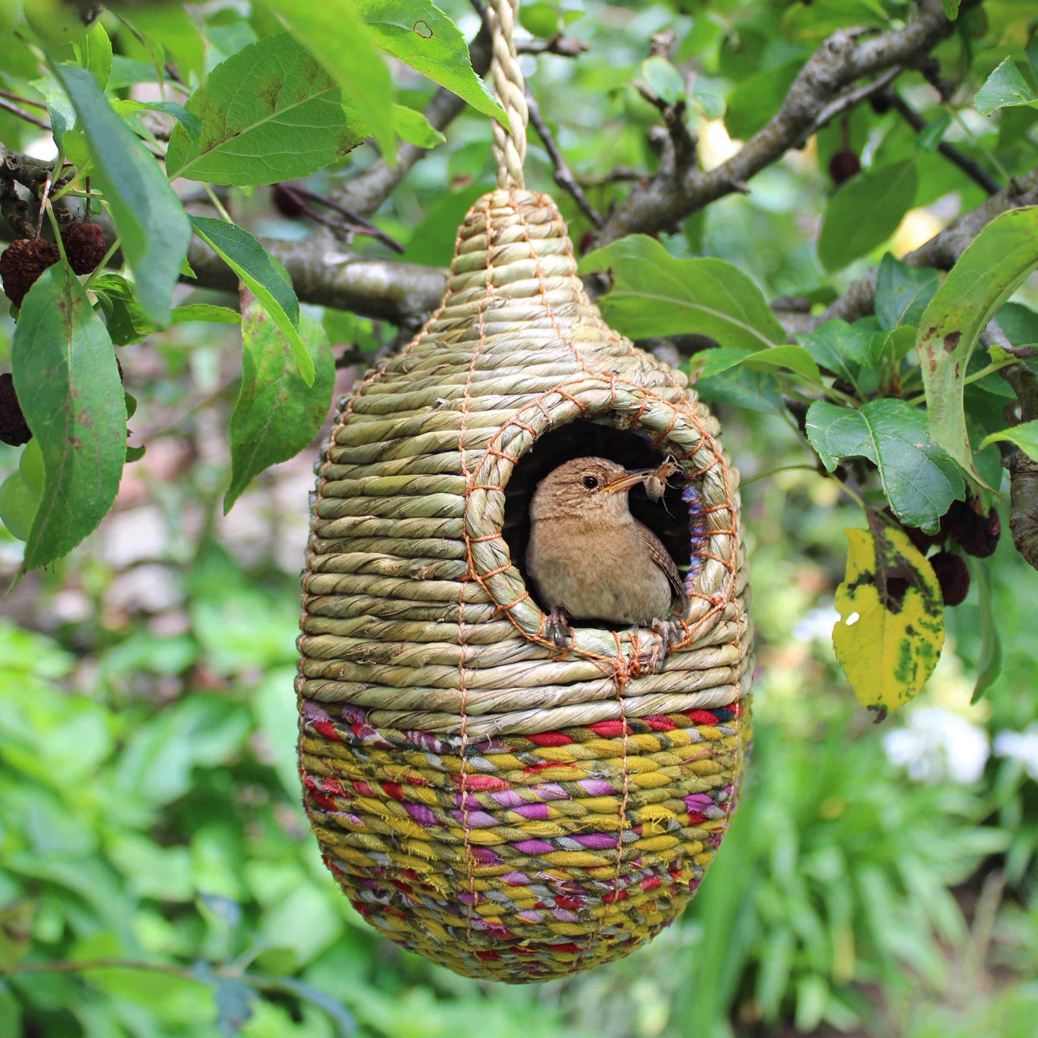 Artisan Wild Bird Nester - Shesali