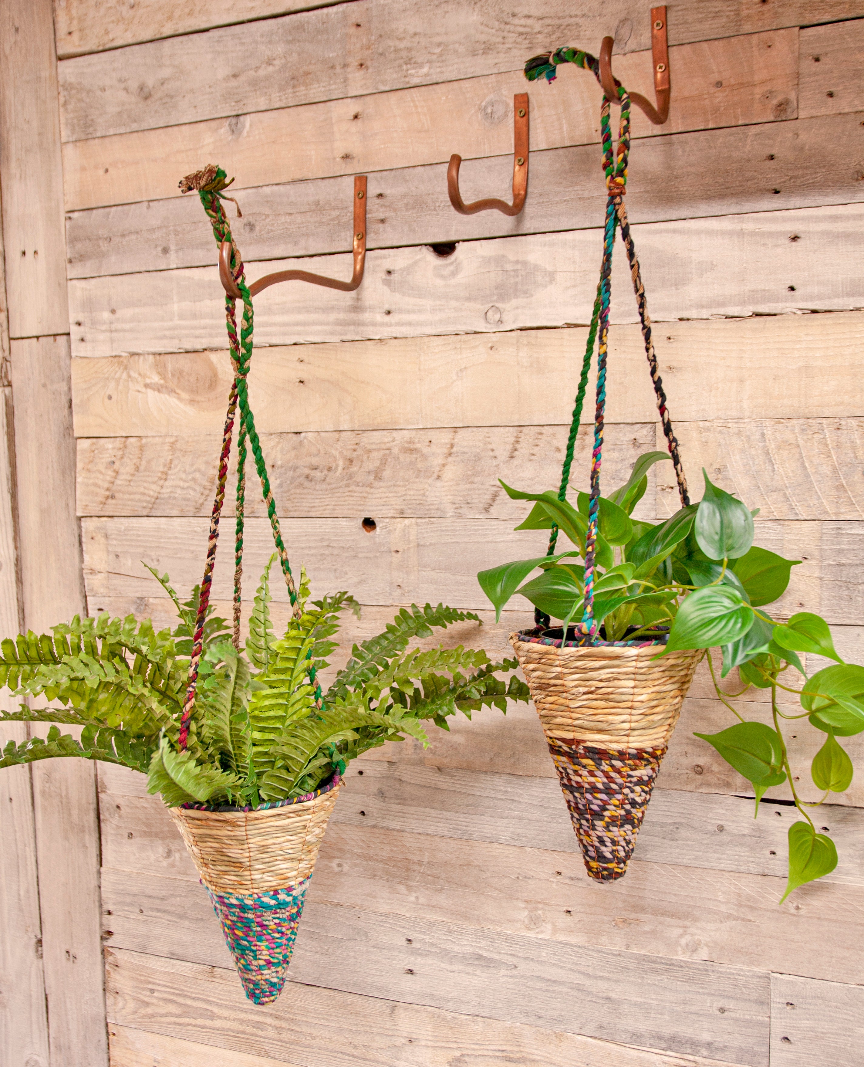 Two artisan hanging planters with small cone shape, made from seagrass, hanging against a wooden wall. They are filled with greenery, showing leaves and plants.