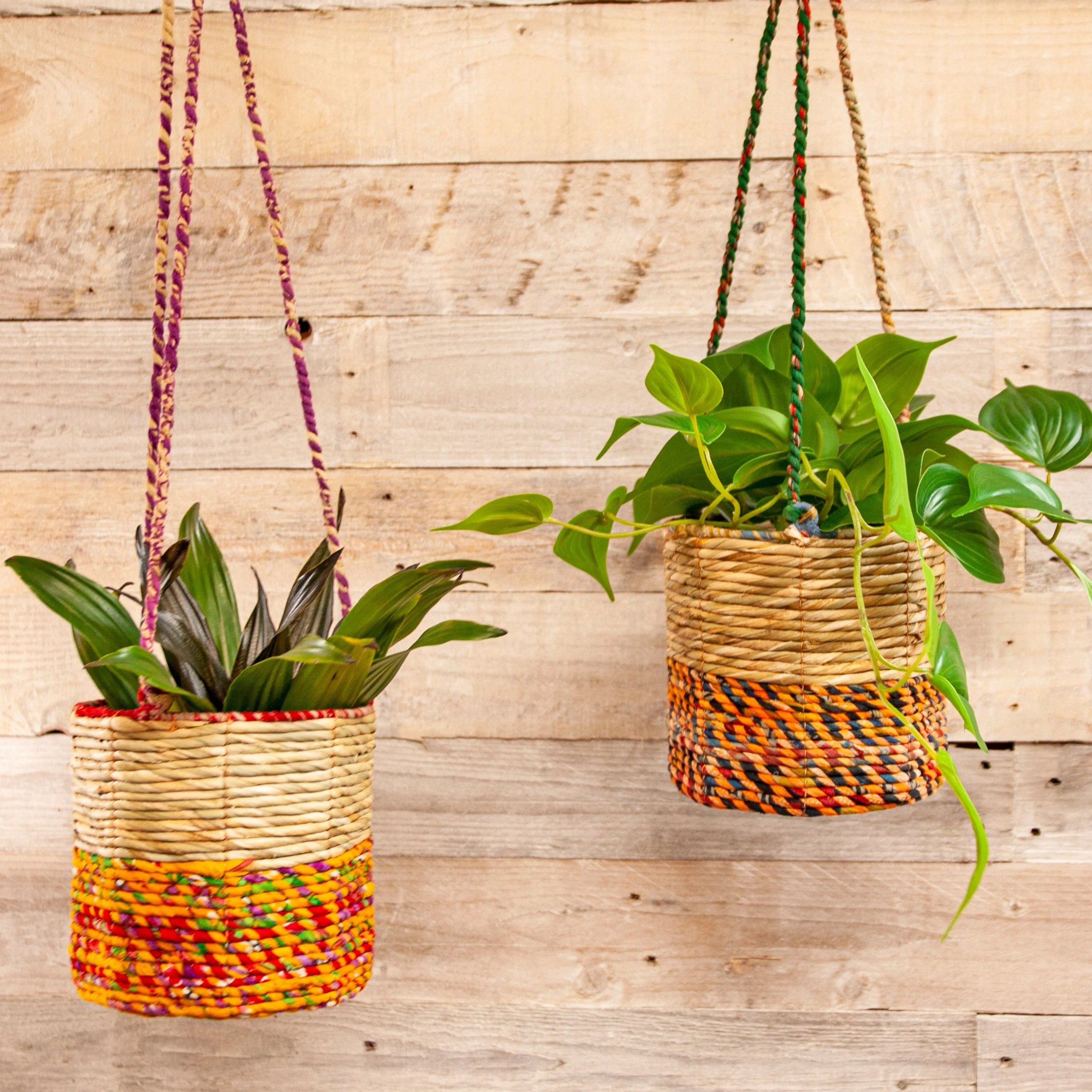 Artisan Hanging Planter - Small Cylinder