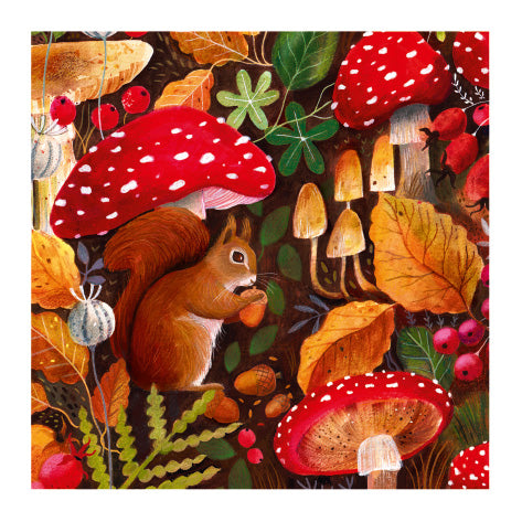 Set of 4 Wildlife illustrated greeting cards | Bex Parkin