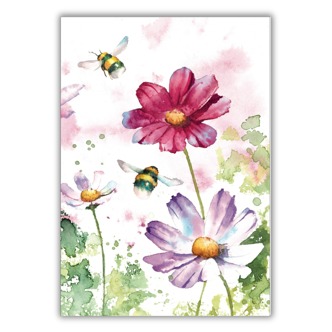 Set of 4 illustrated greeting cards | Rachel Toll