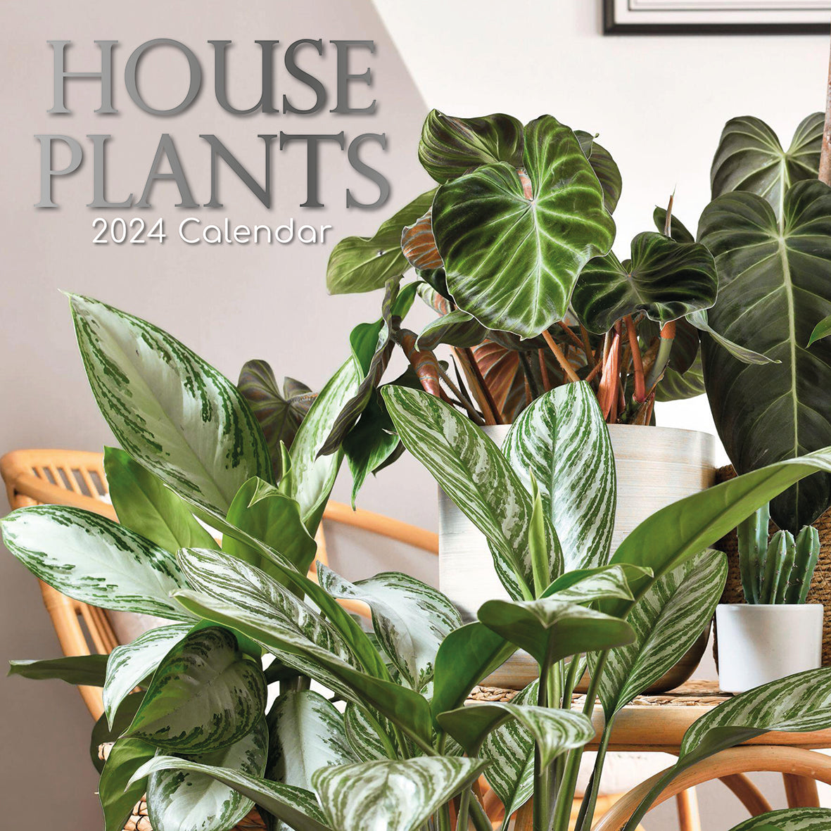 House plants 2024 square wall calendar
