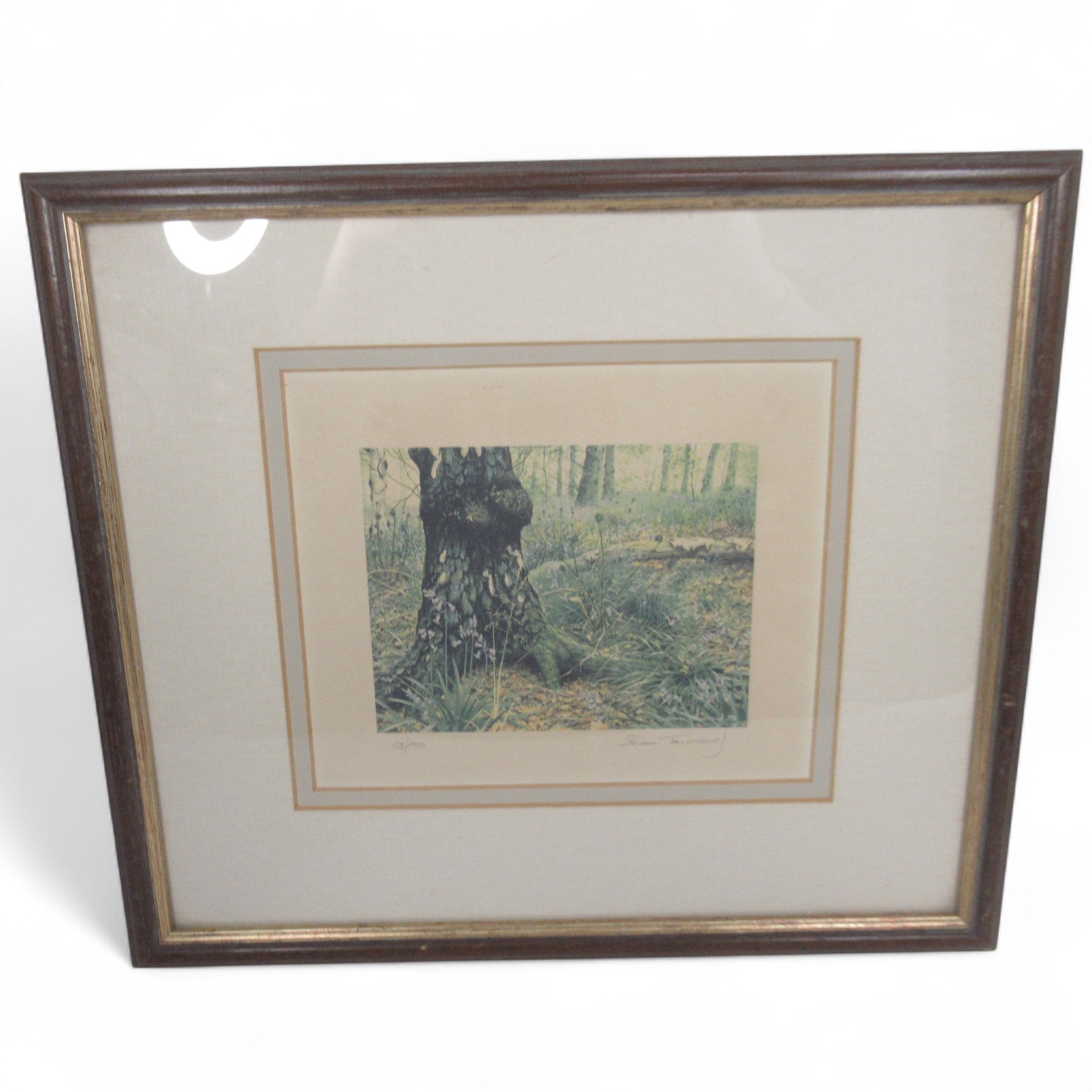 Overview image of Steven Townsend Landscape Art Print 118/650 Framed L3