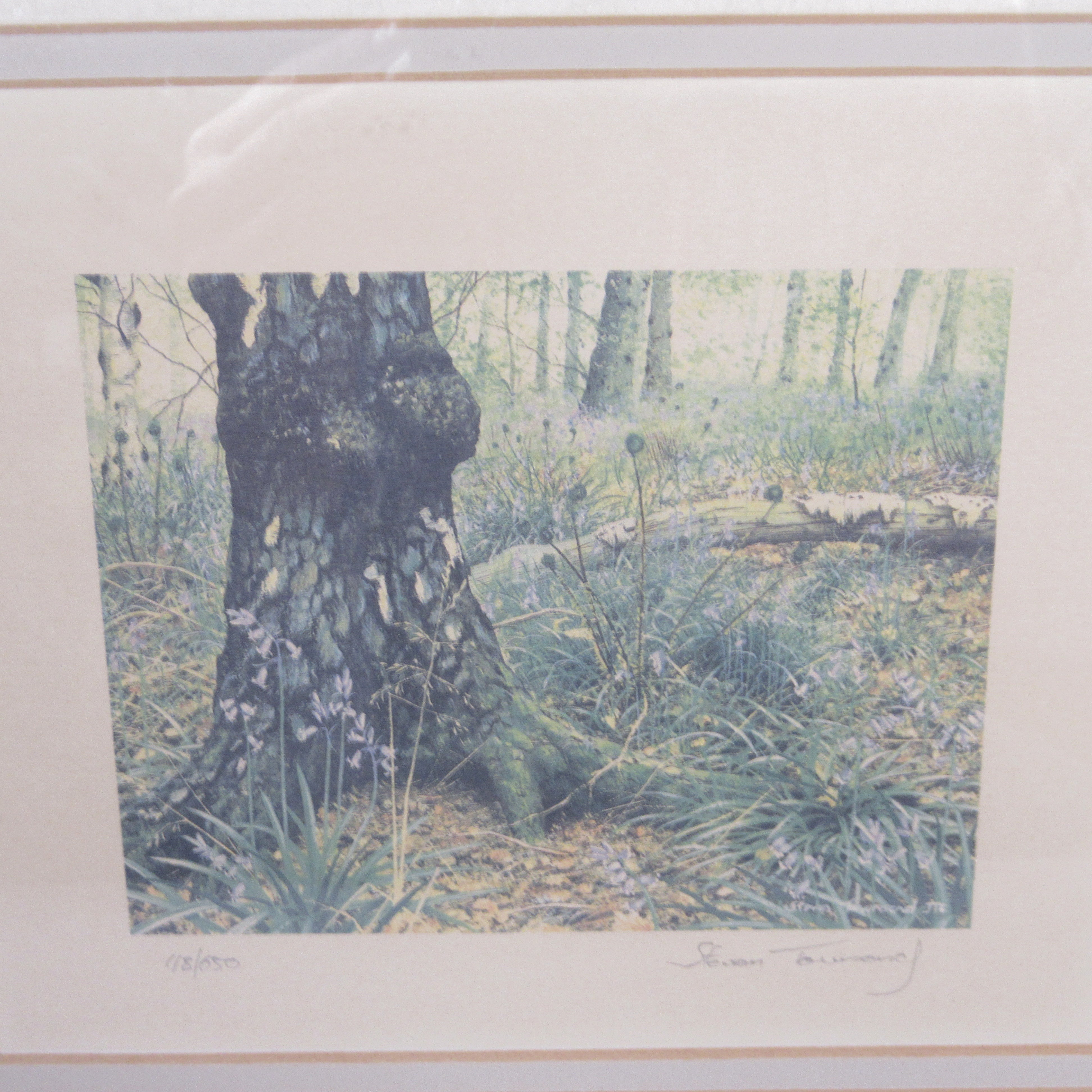 Print image of Steven Townsend Landscape Art Print 118/650 Framed L3