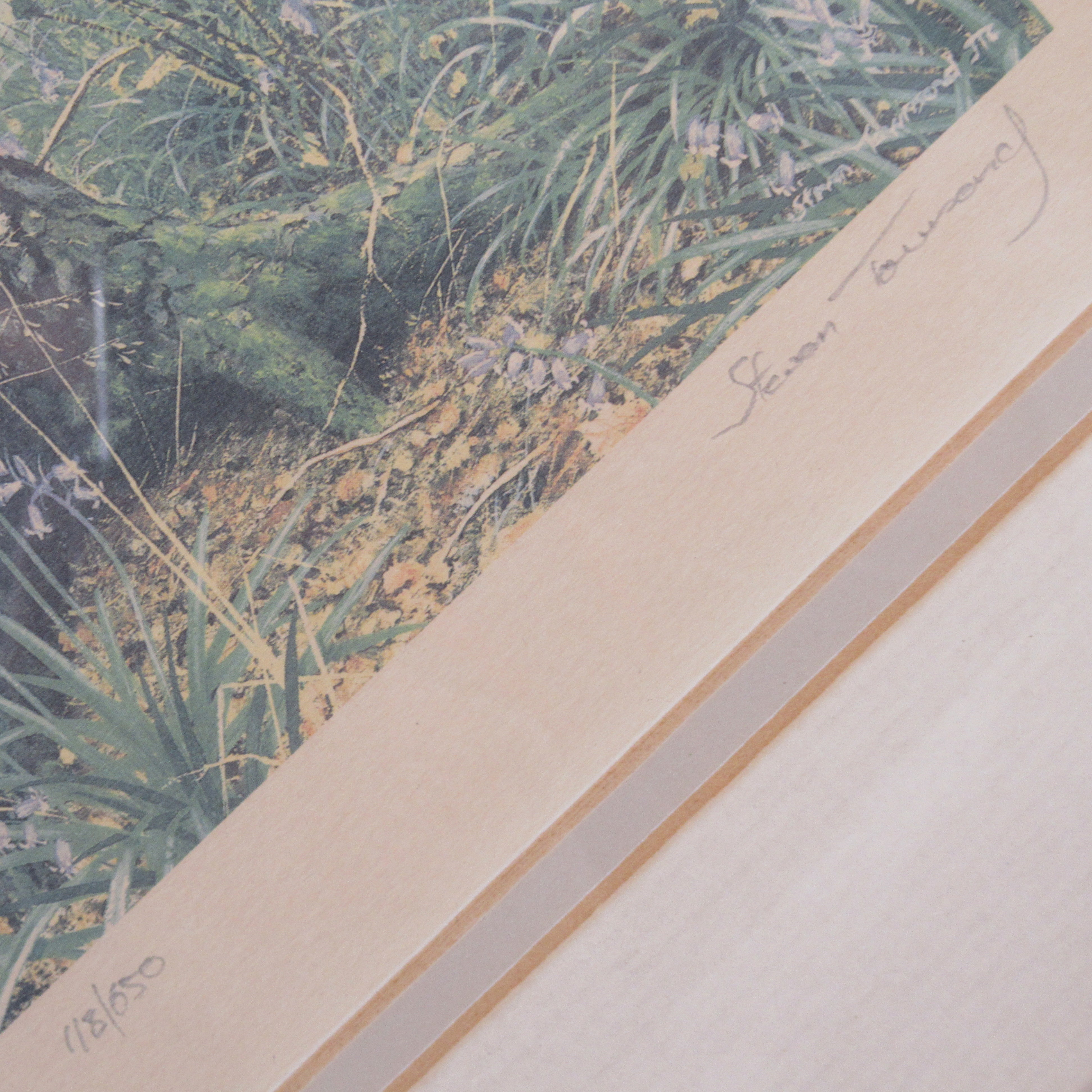 Close up image 1 of Steven Townsend Landscape Art Print 118/650 Framed L3