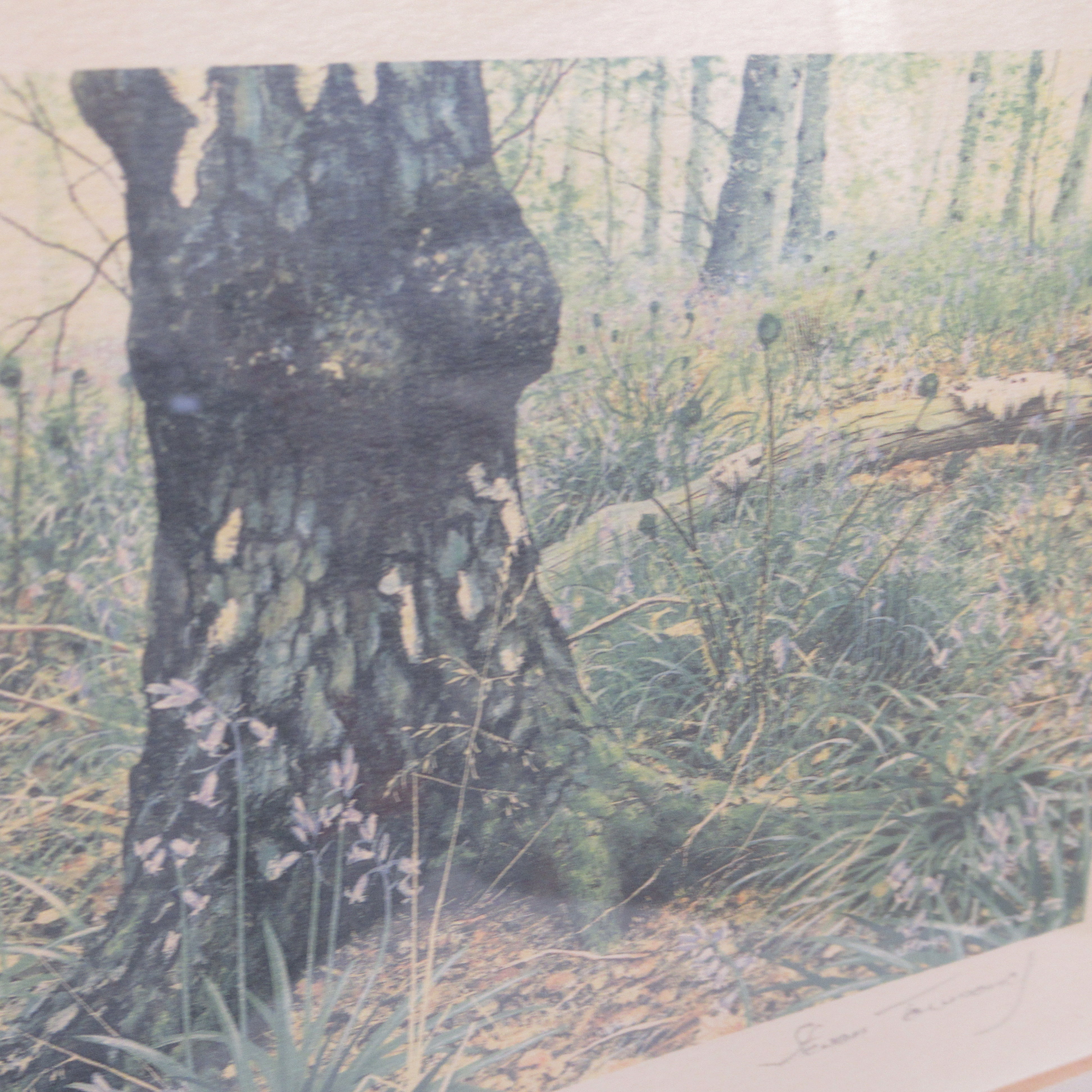 Close up image 2 of Steven Townsend Landscape Art Print 118/650 Framed L3