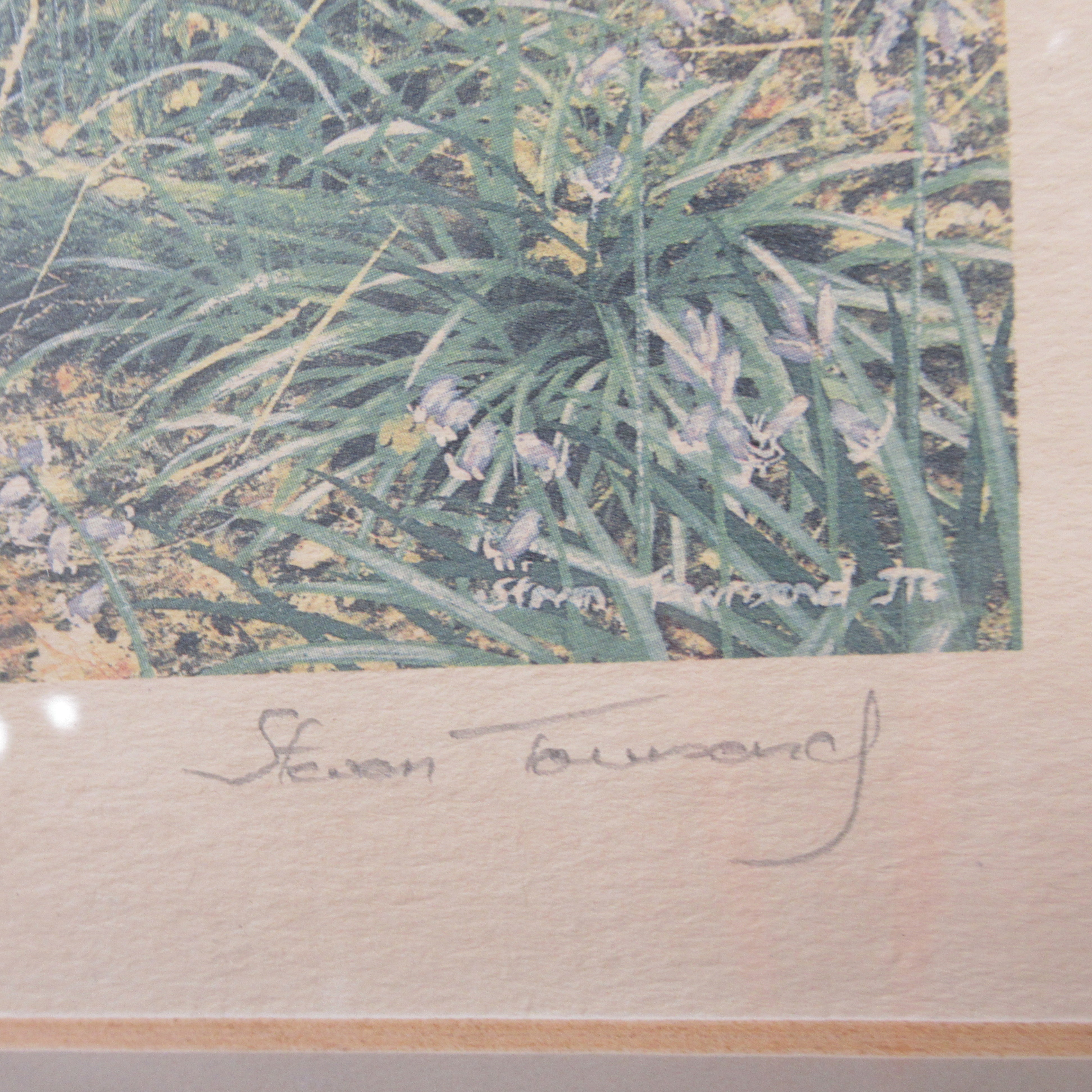 Close up signature of Steven Townsend Landscape Art Print 118/650 Framed L3