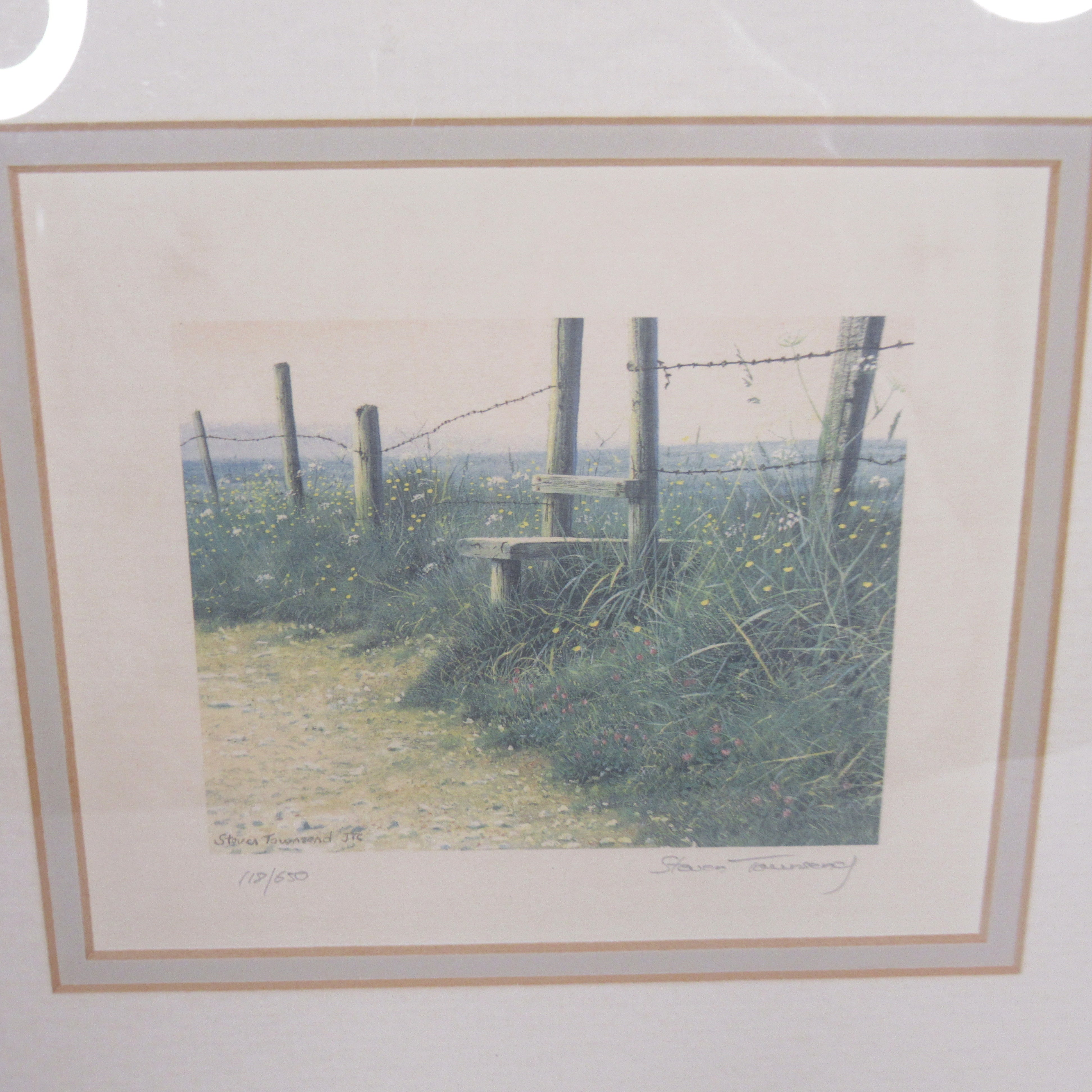 Steven Townsend Landscape Art Print 118/650 Framed L2 | Pre-Loved