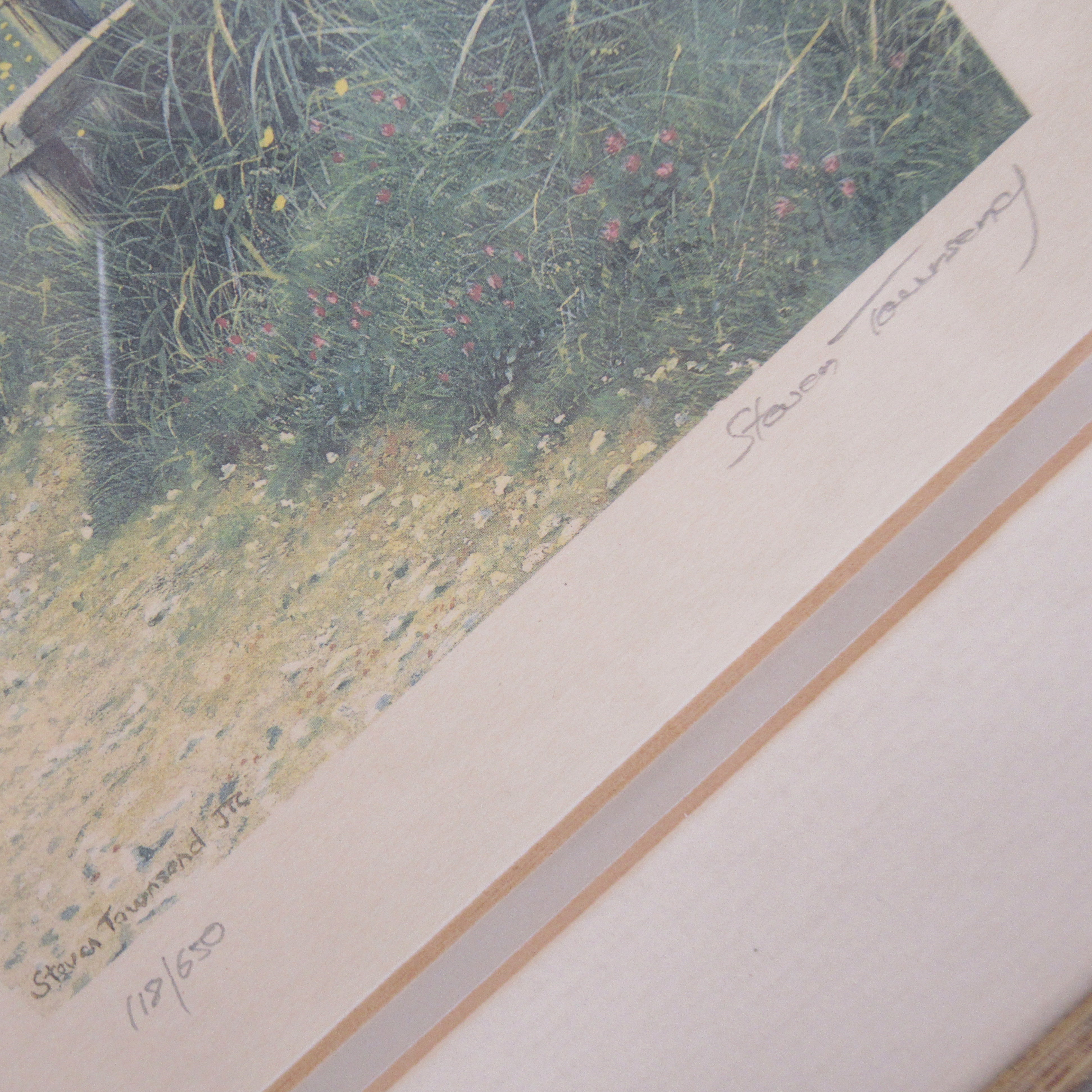 Steven Townsend Landscape Art Print 118/650 Framed L2 | Pre-Loved