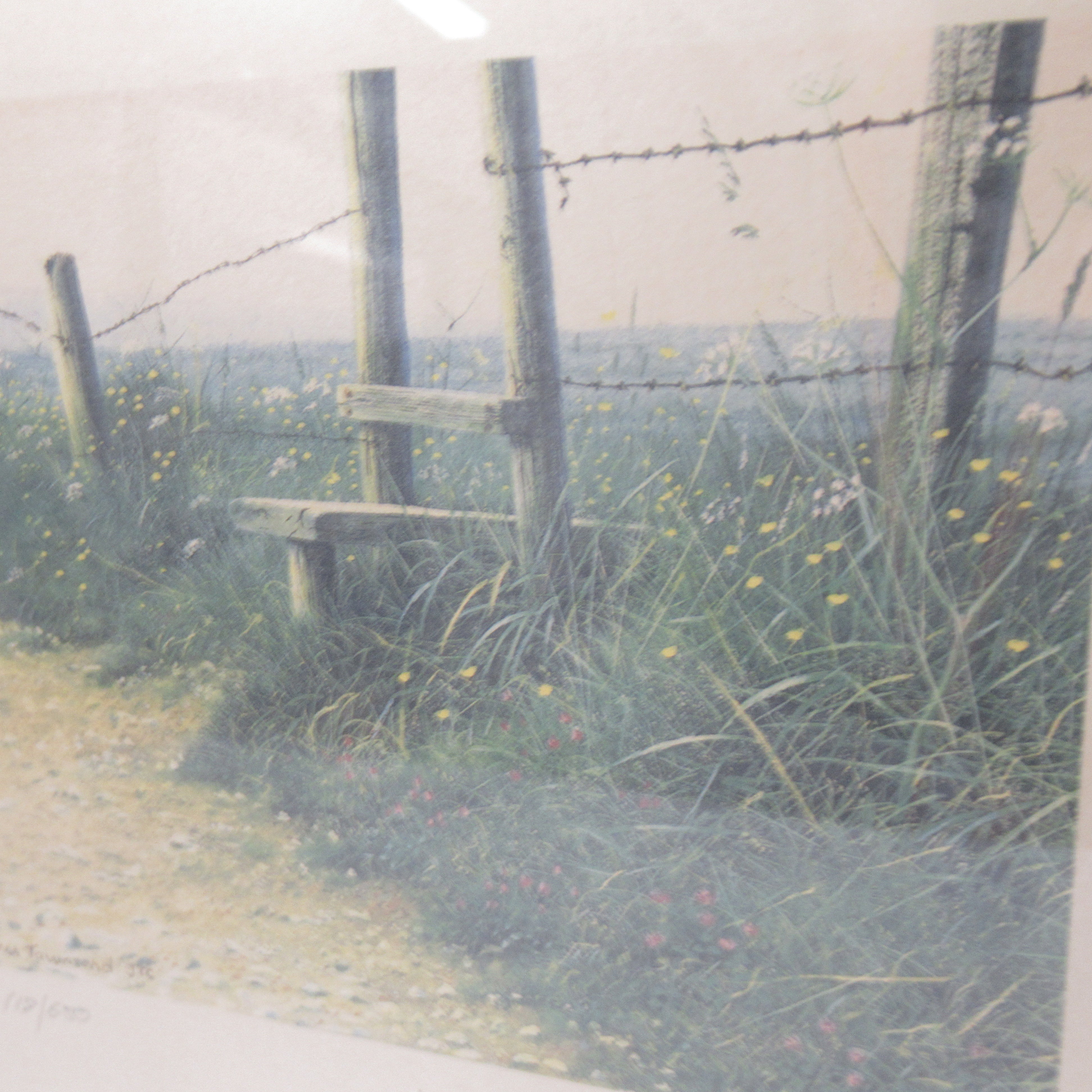 Steven Townsend Landscape Art Print 118/650 Framed L2 | Pre-Loved