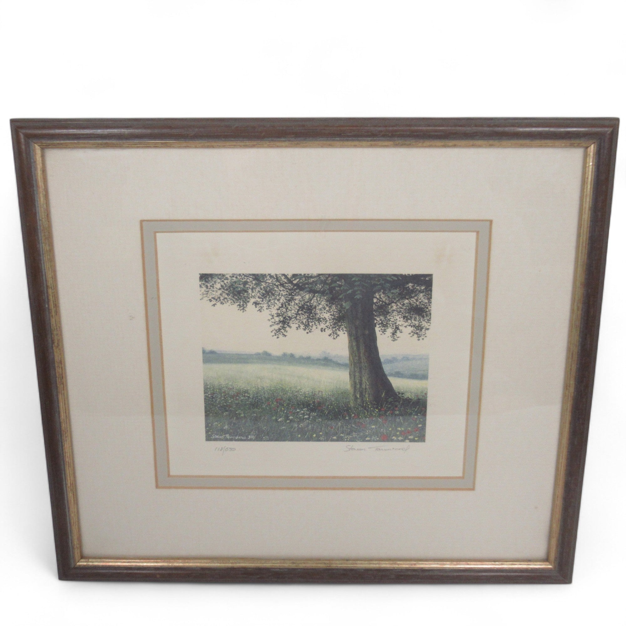 Overview image of Steven Townsend Landscape Art Print 118/650 Framed L1