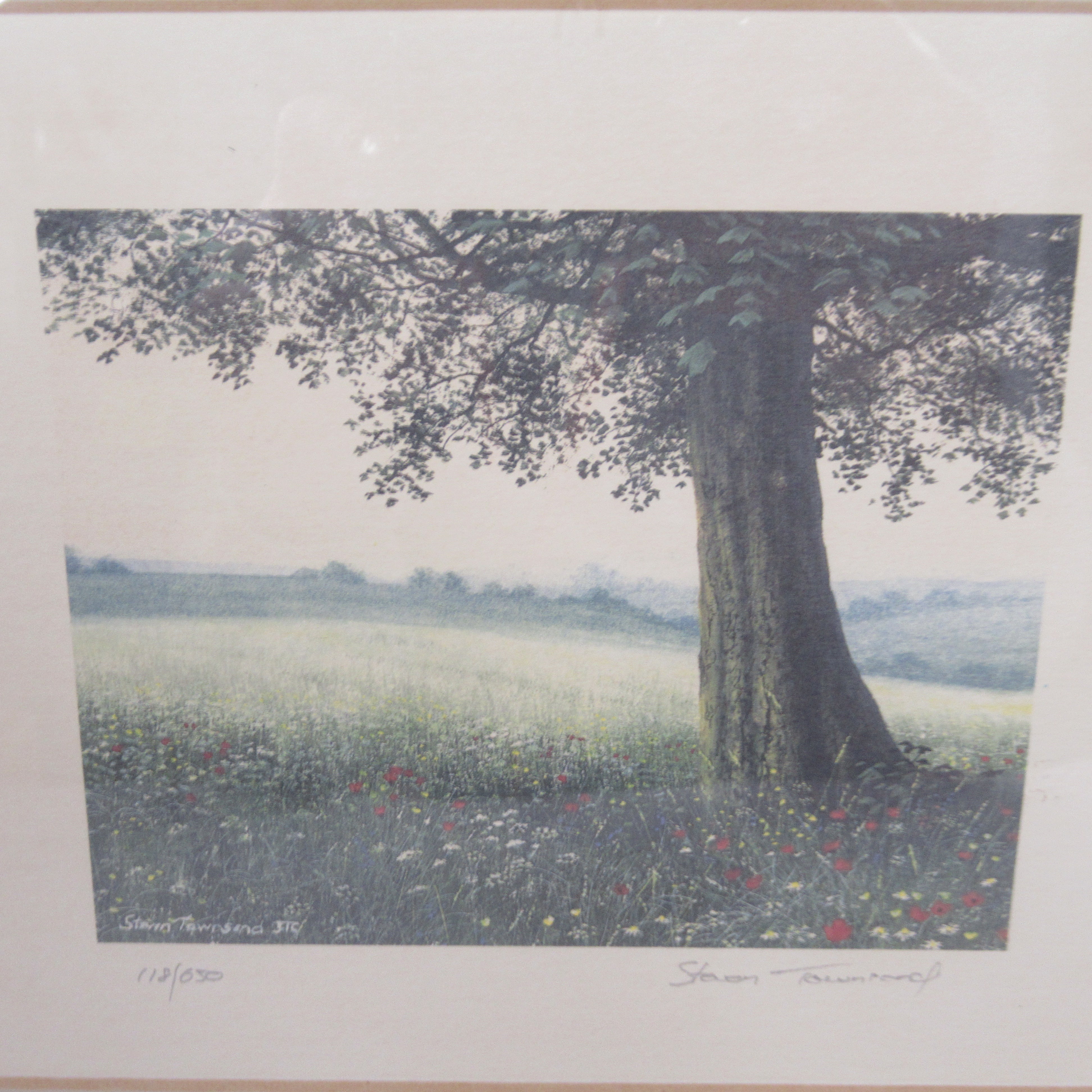 Front image of Steven Townsend Landscape Art Print 118/650 Framed L1