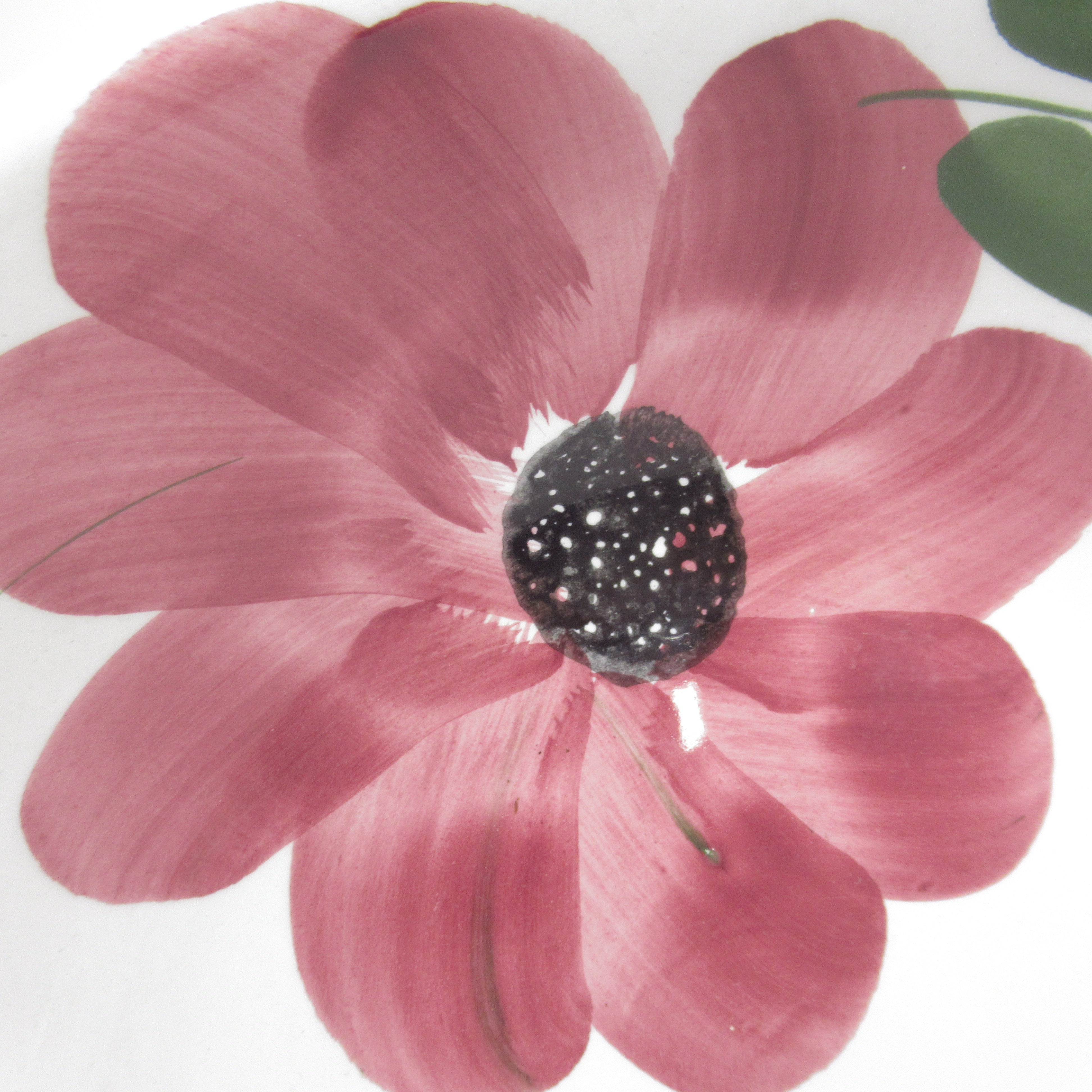 Close up image 2 of Stoviglierie Ceramic Pasta Bowl Made in Italy 9" Floral