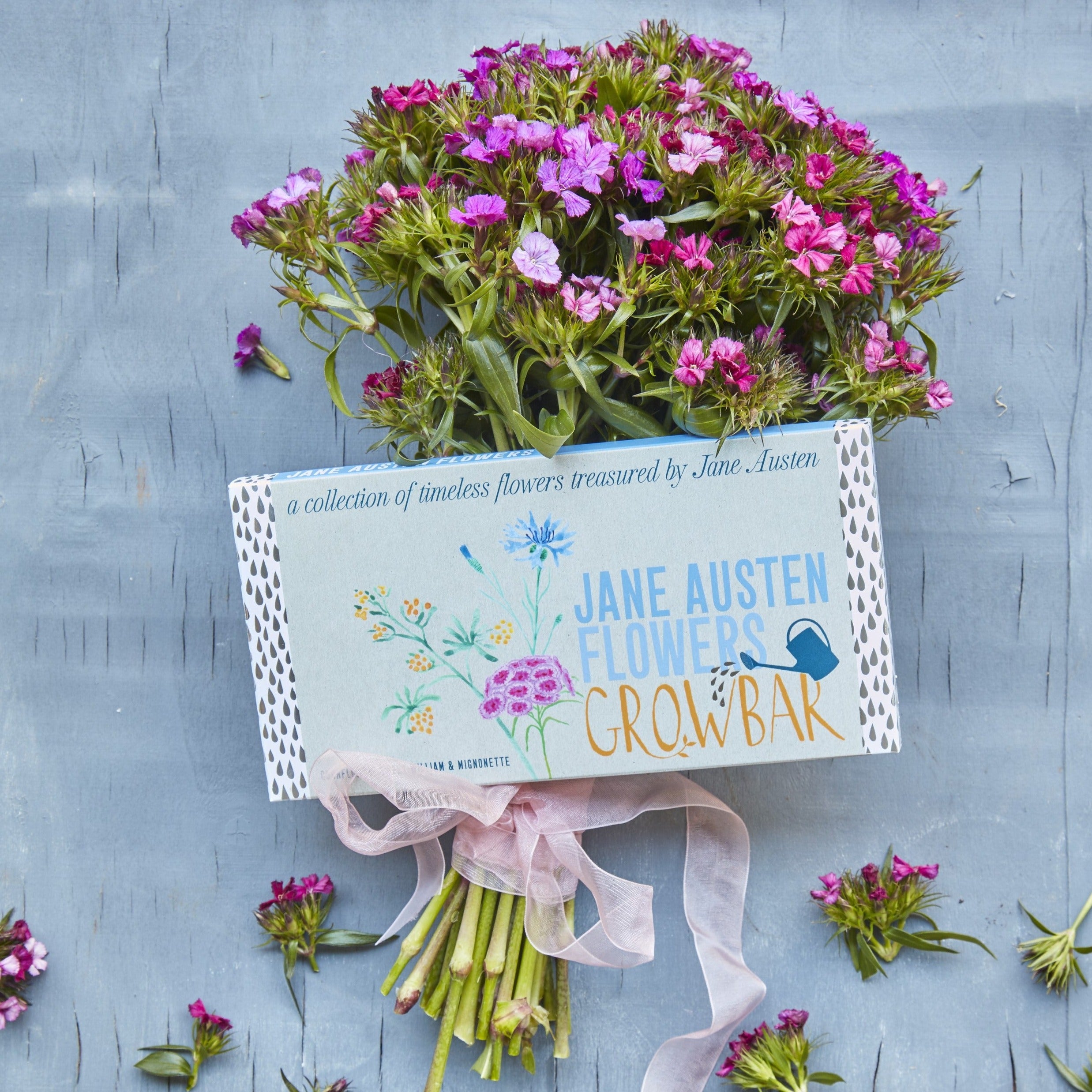 A seed growbar labeled 'Jane Austen Flowers' with a bouquet of pink flowers tied with a ribbon in front of it, set against a blue background.