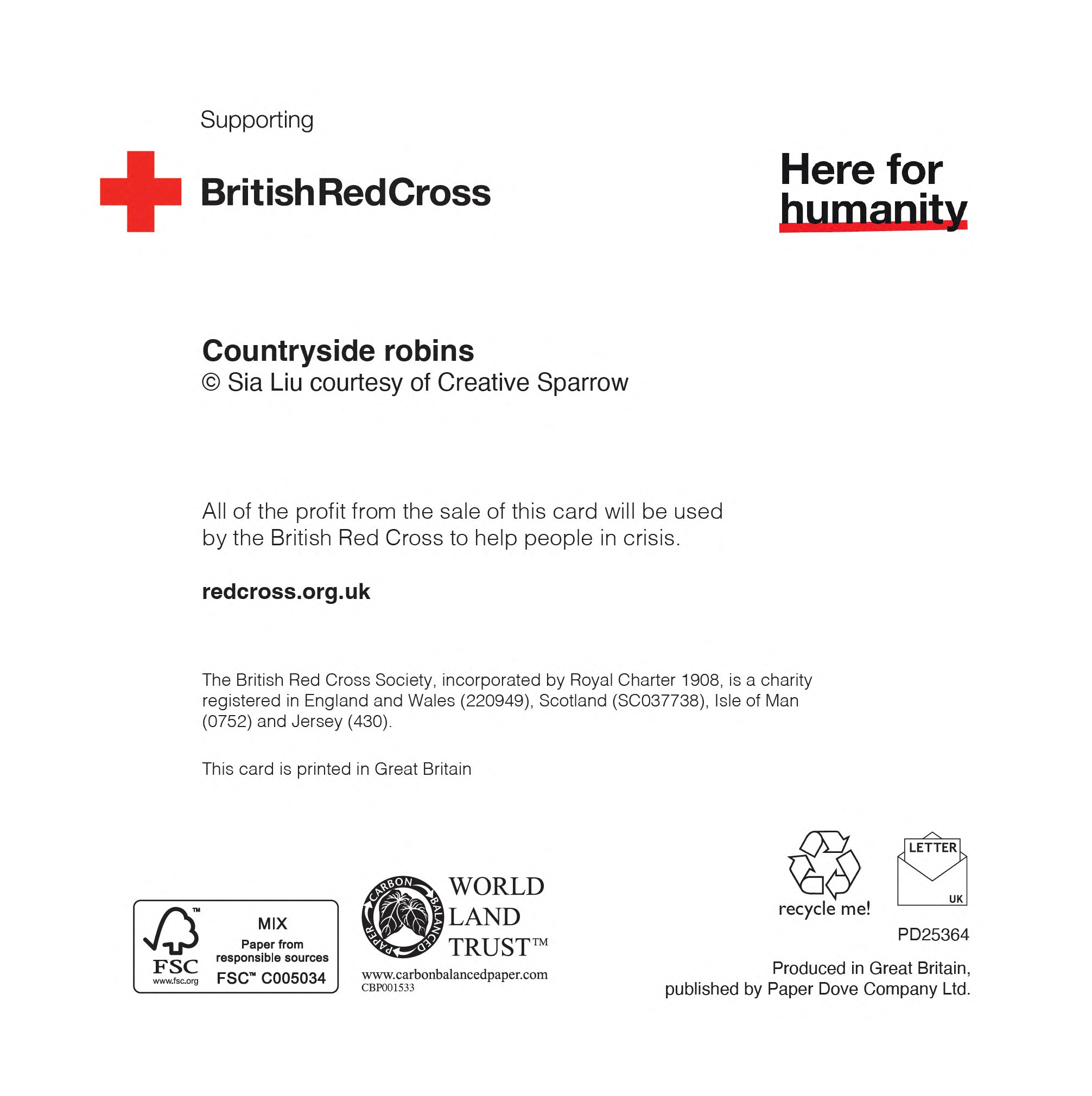 Countryside Robins | Pack of 10 charity Christmas cards with envelopes