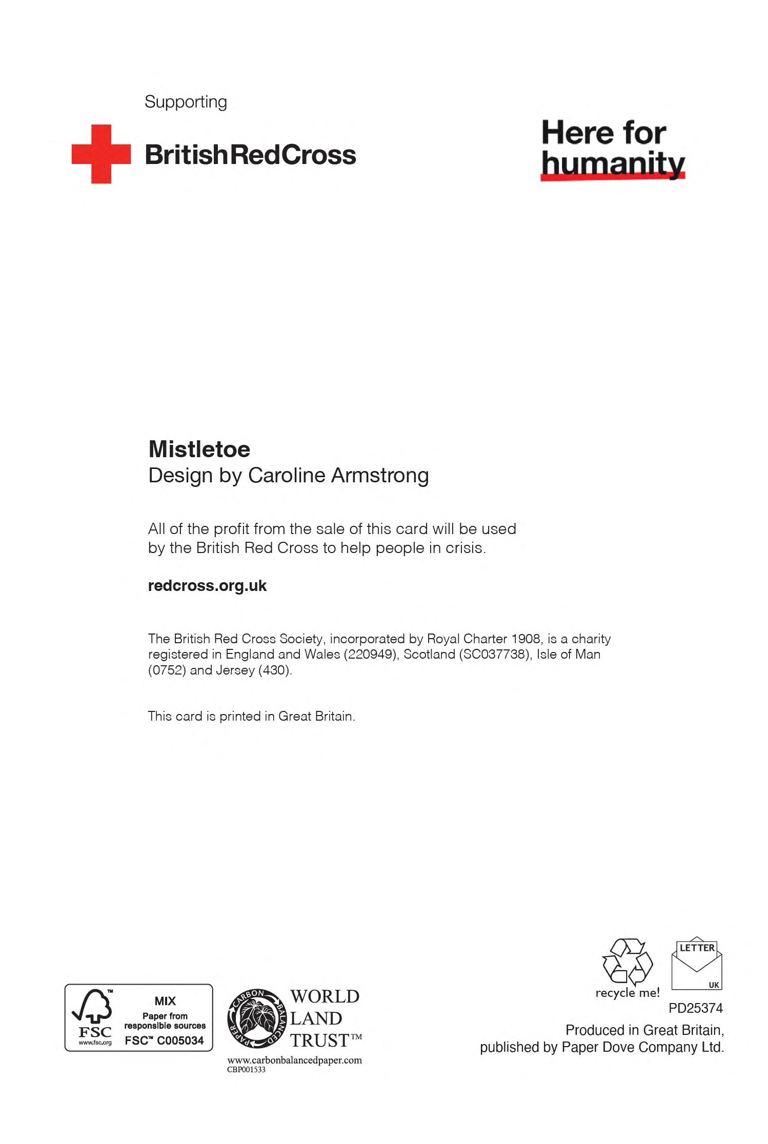 Mistletoe | Pack of 10 charity Christmas cards with envelopes