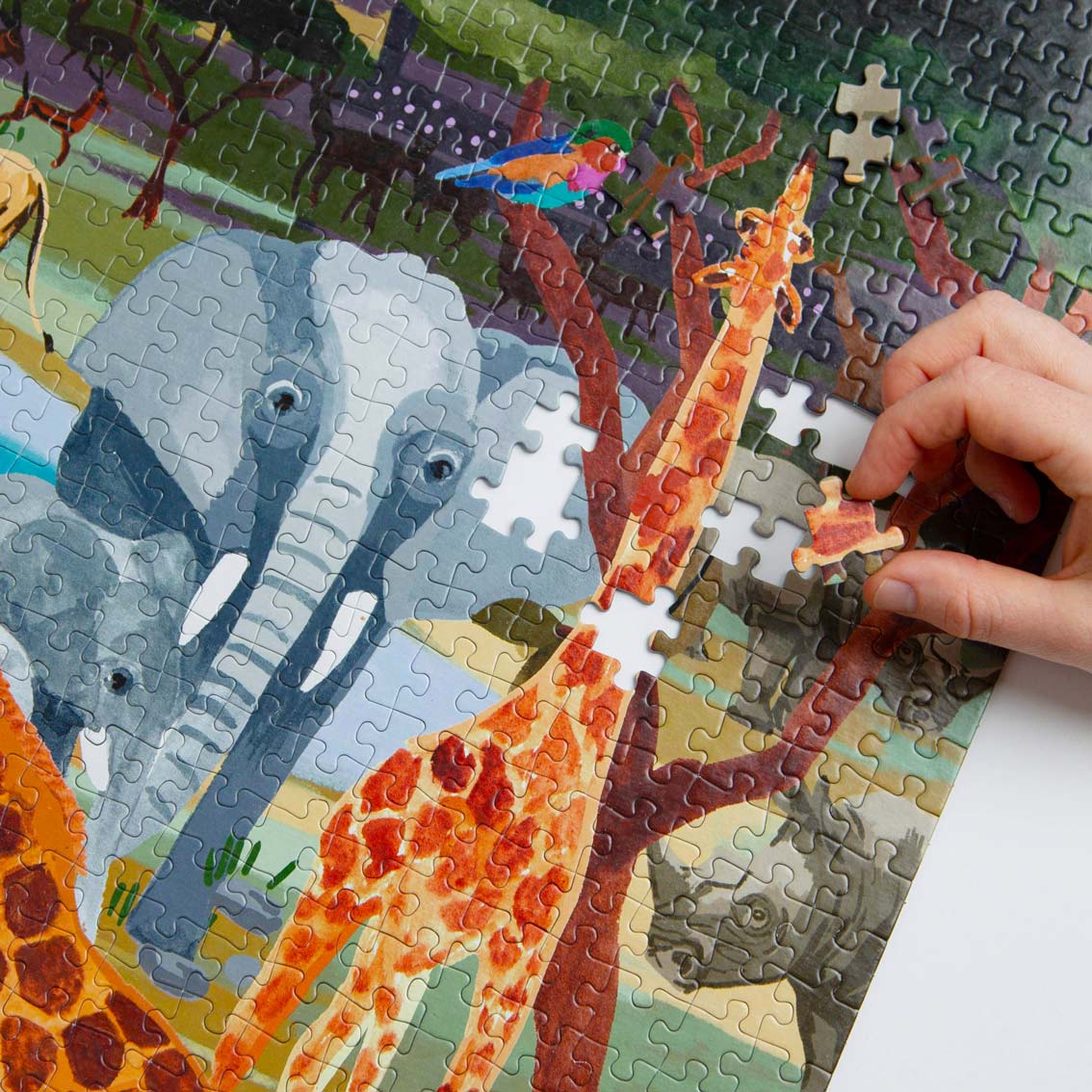 Safari Puzzle 1000 piece