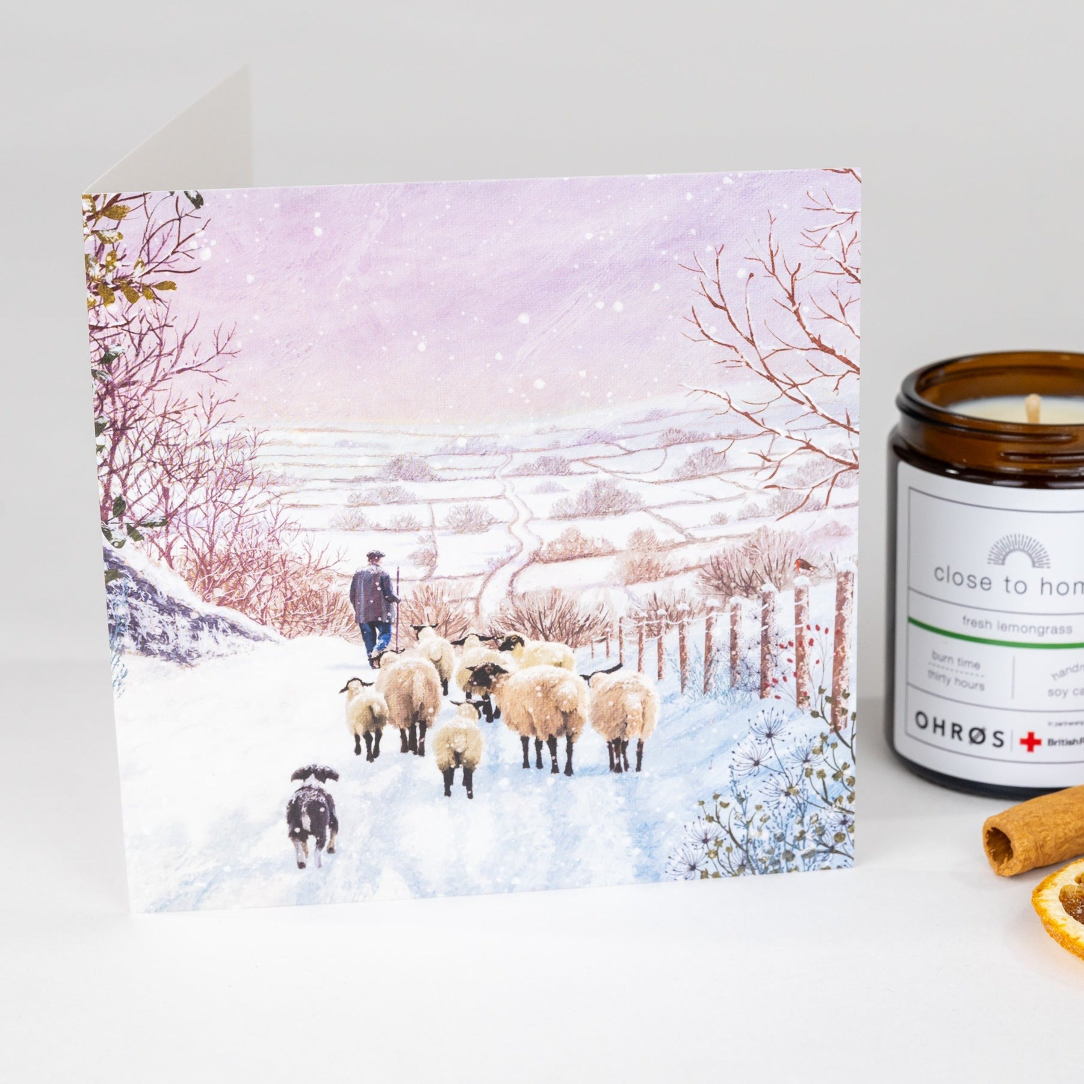 Shepherd - pack of 10 charity Christmas cards with envelopes