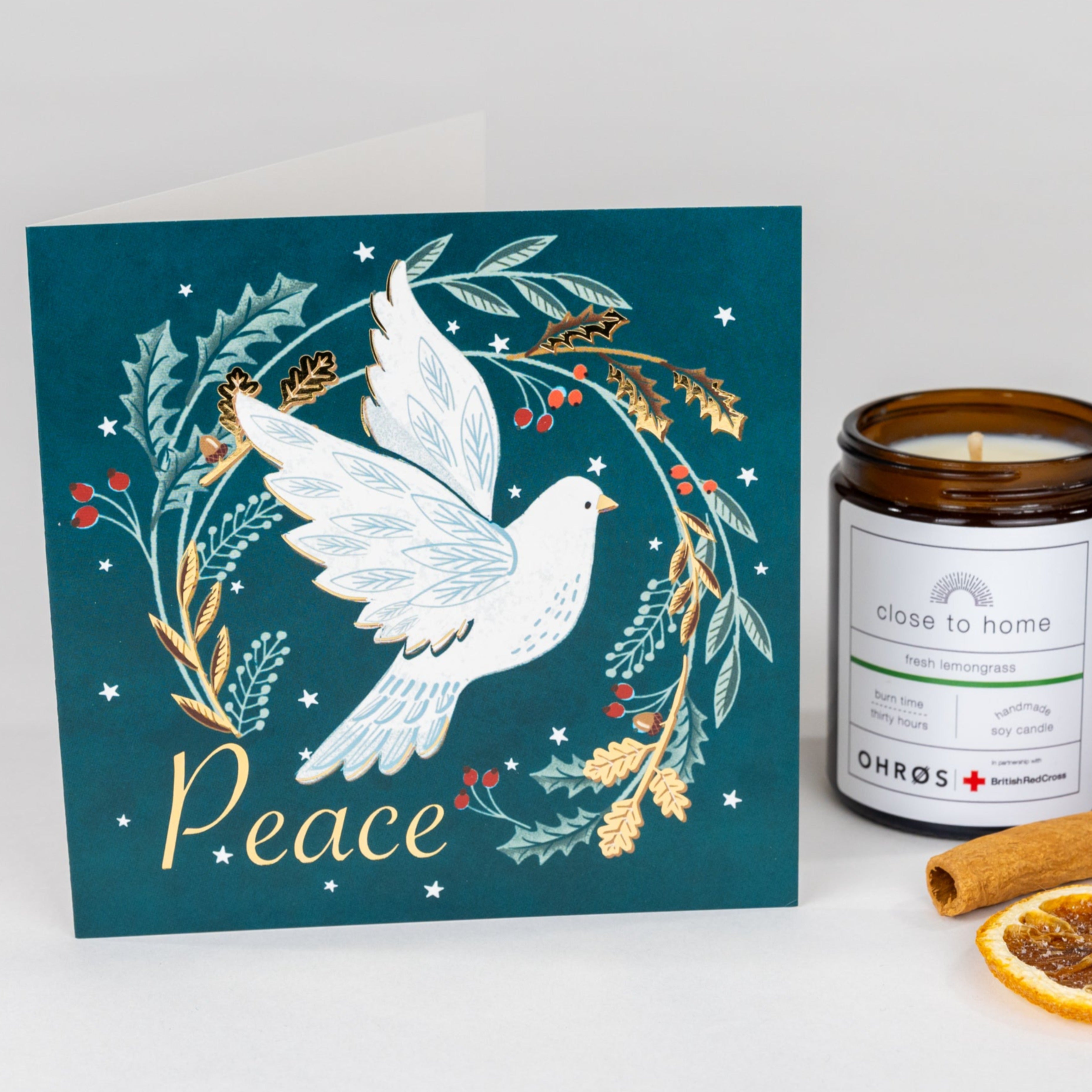 Dove - pack of 10 charity Christmas cards with envelopes