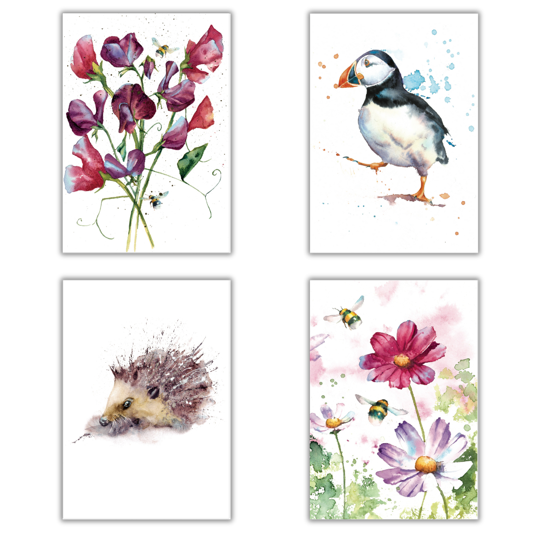 Set of 4 illustrated greeting cards | Rachel Toll
