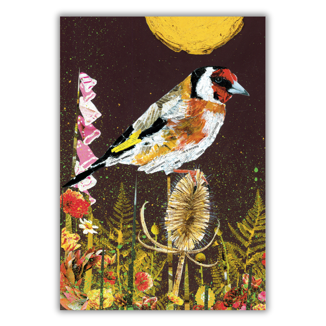 Set of 4 illustrated greeting cards | Adam James Severn