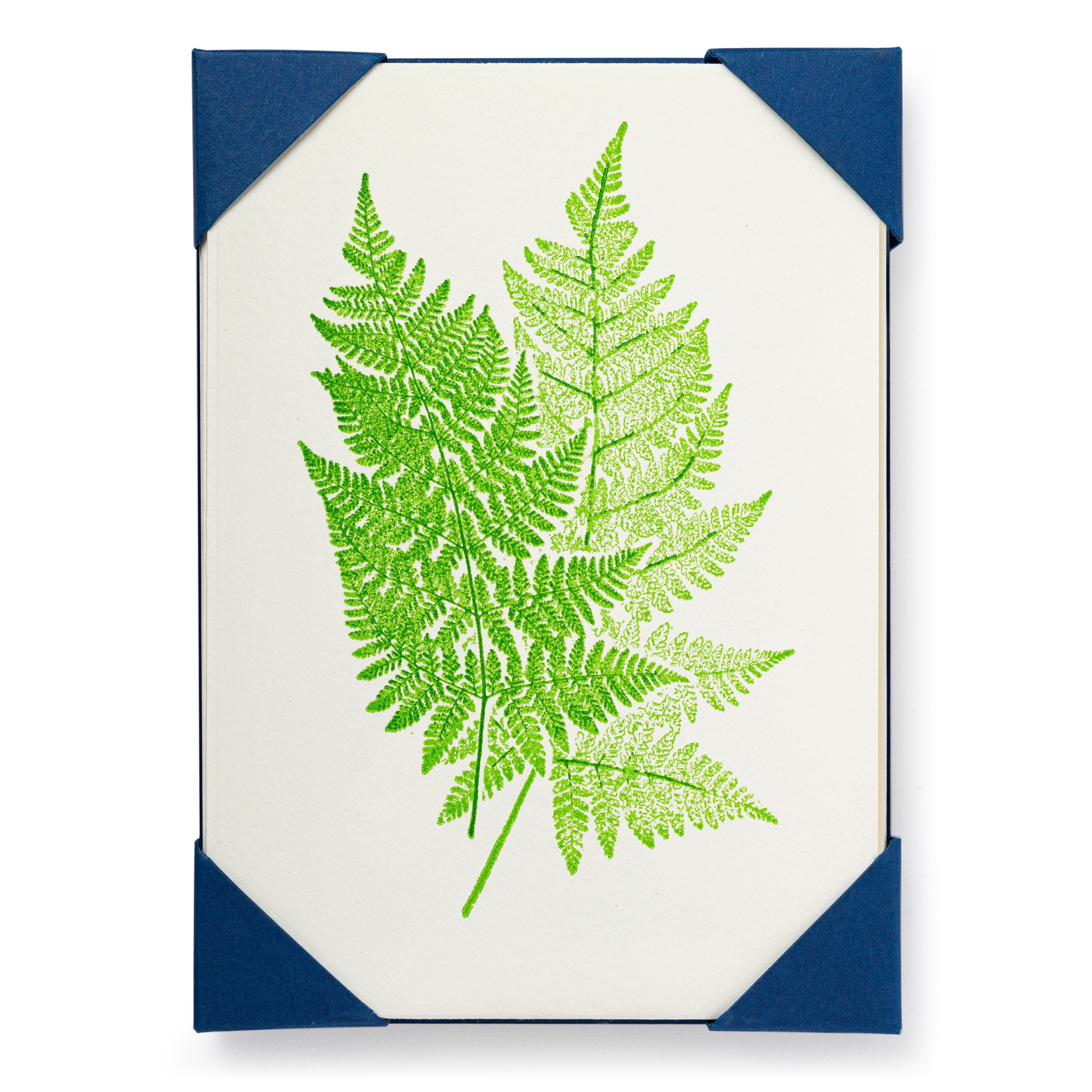 Fern- 5 pack Letterpress Greeting Cards- Archivist