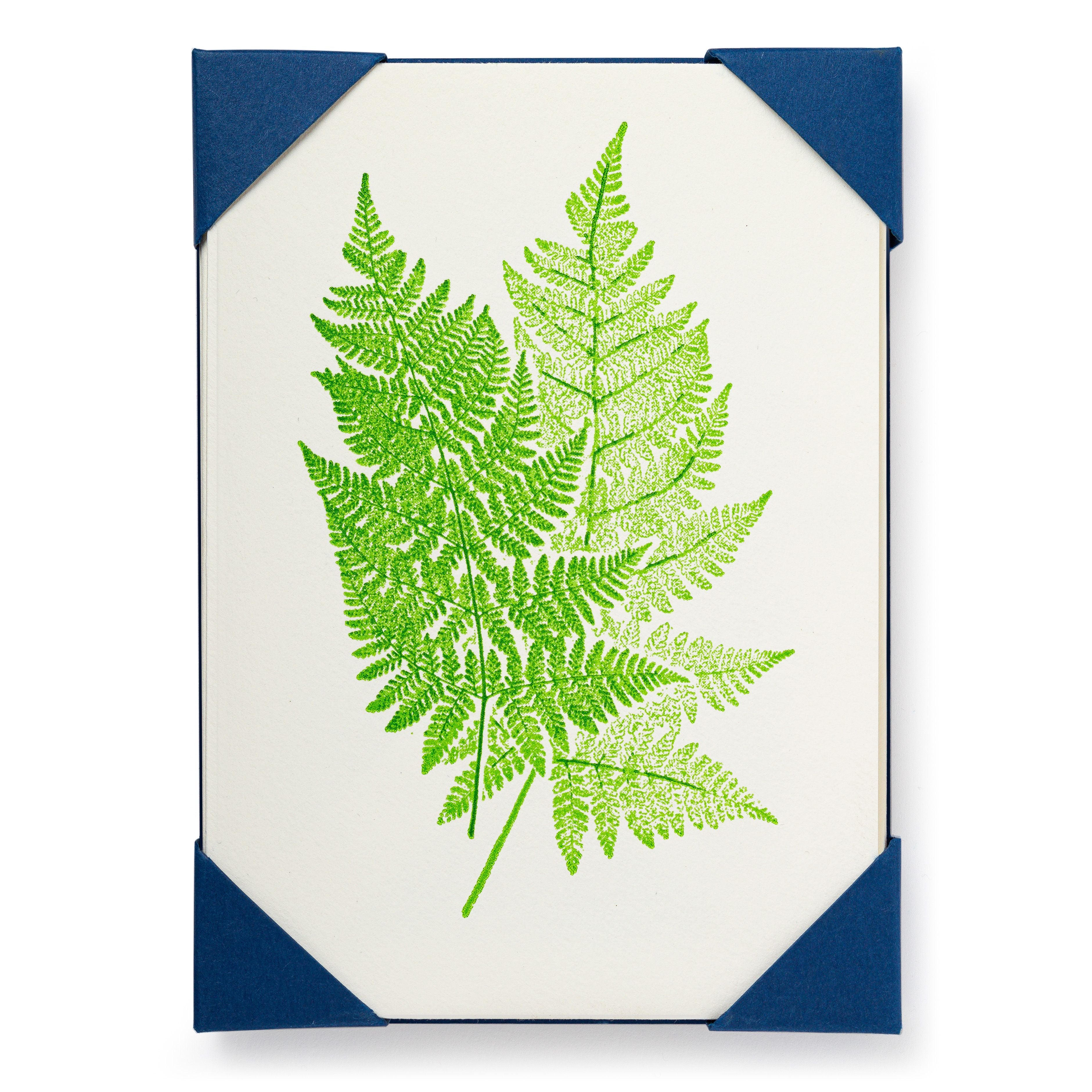 Fern- 5 pack Letterpress Greeting Cards-  Archivist