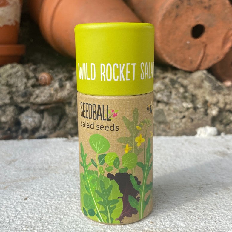 A tube labeled 'Wild Rocket Salad Seeds' with an illustration of a rocket plant, placed on a surface with a brick wall in the background.