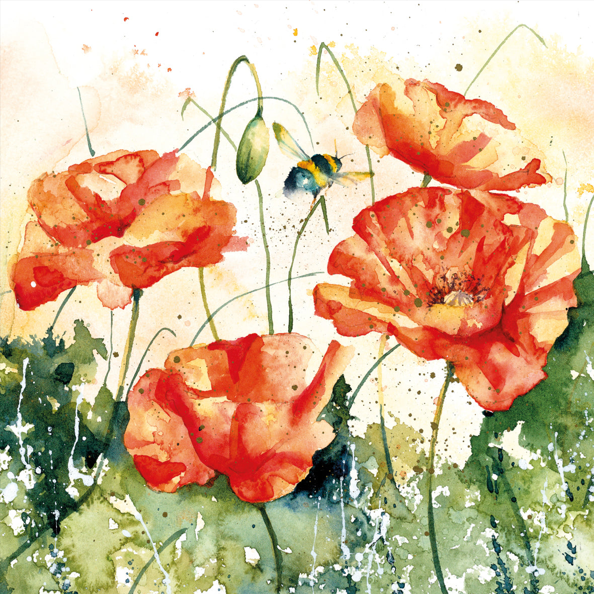 Rachel Toll wildlife card pack