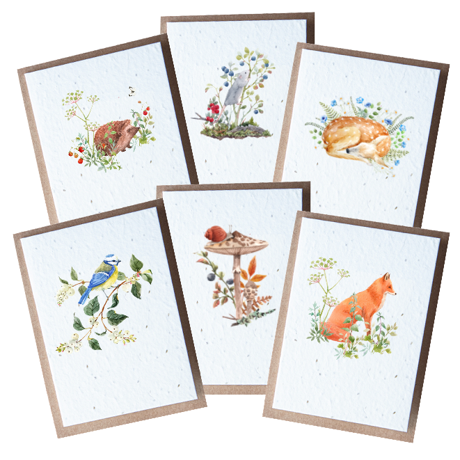 Nature Themed Seed Paper Cards - 6pk