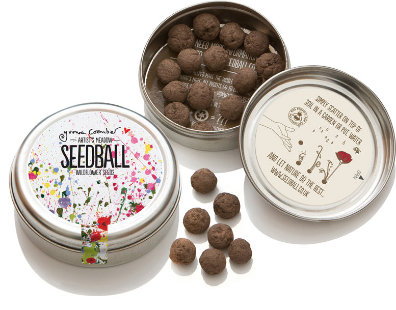 Seedball - Artist's Meadow Mix