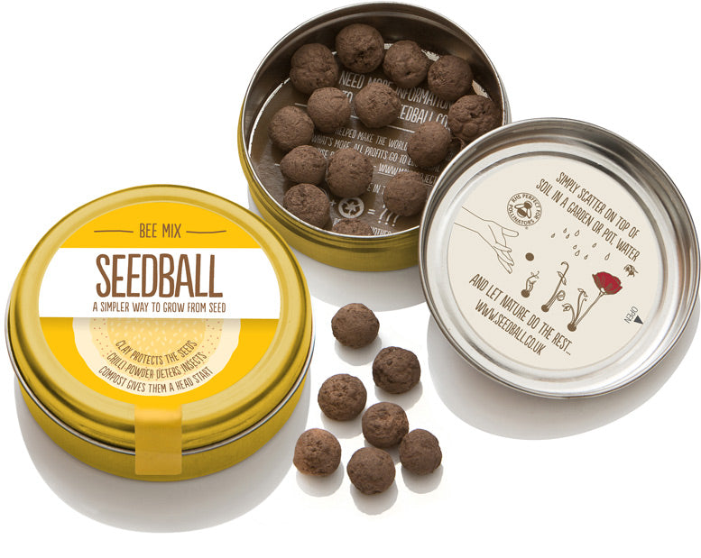 Seedball - Bee Mix