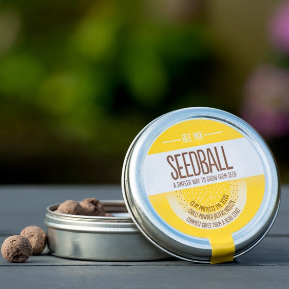 Seedball - Bee Mix