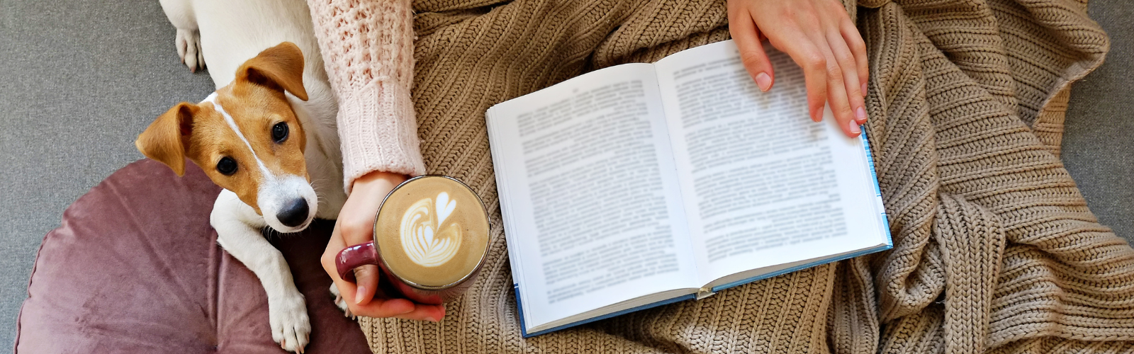 Gifts for Book lovers