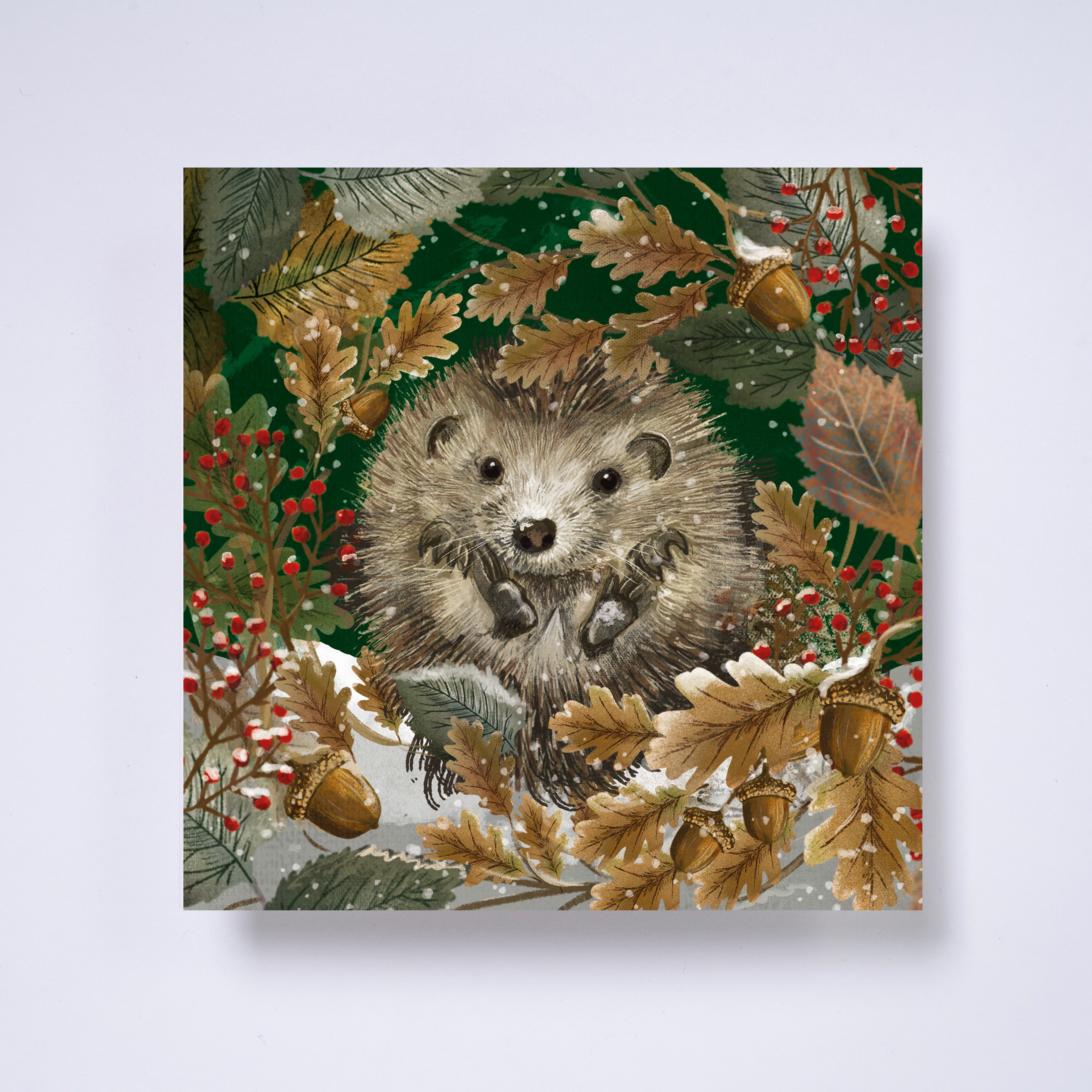 Hedgehog - pack of 10 charity Christmas cards with envelopes