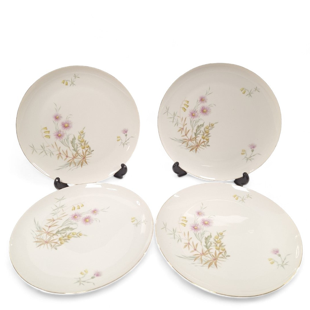 Front image of Schonwald 452 Dinner Plates