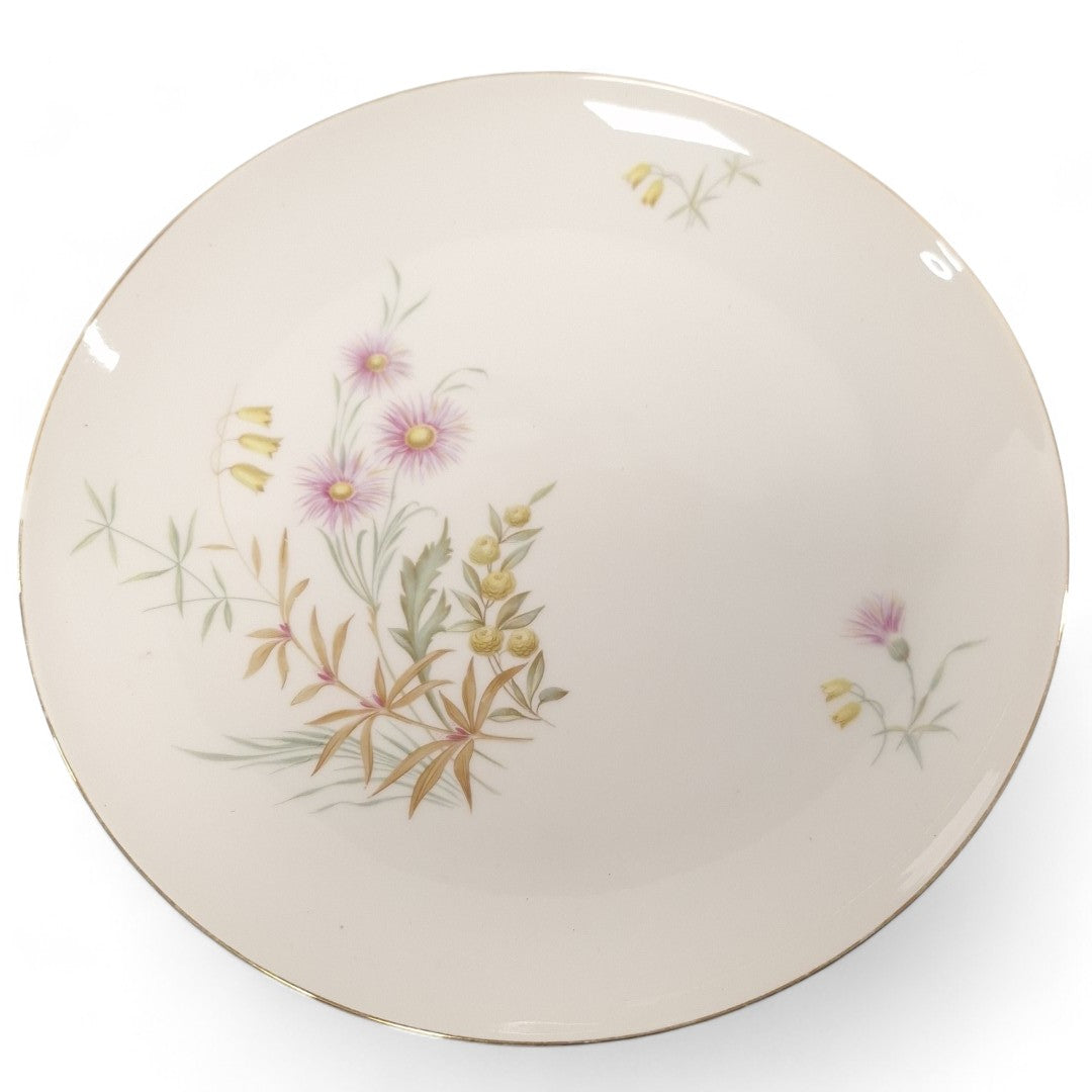 Front image of Schonwald 452 Dinner Plate