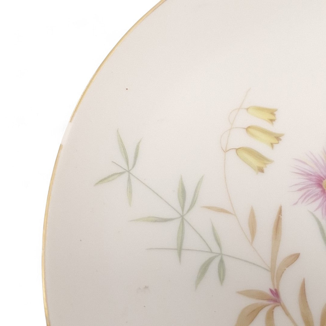 Close up image of Schonwald 452 Dinner Plate