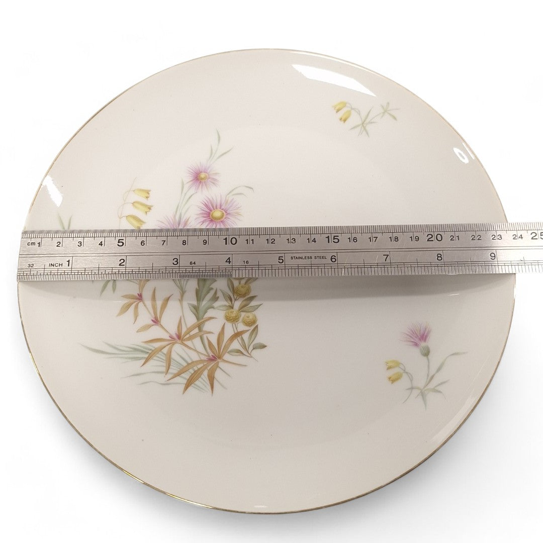 Measurement image of Schonwald 452 Dinner Plate