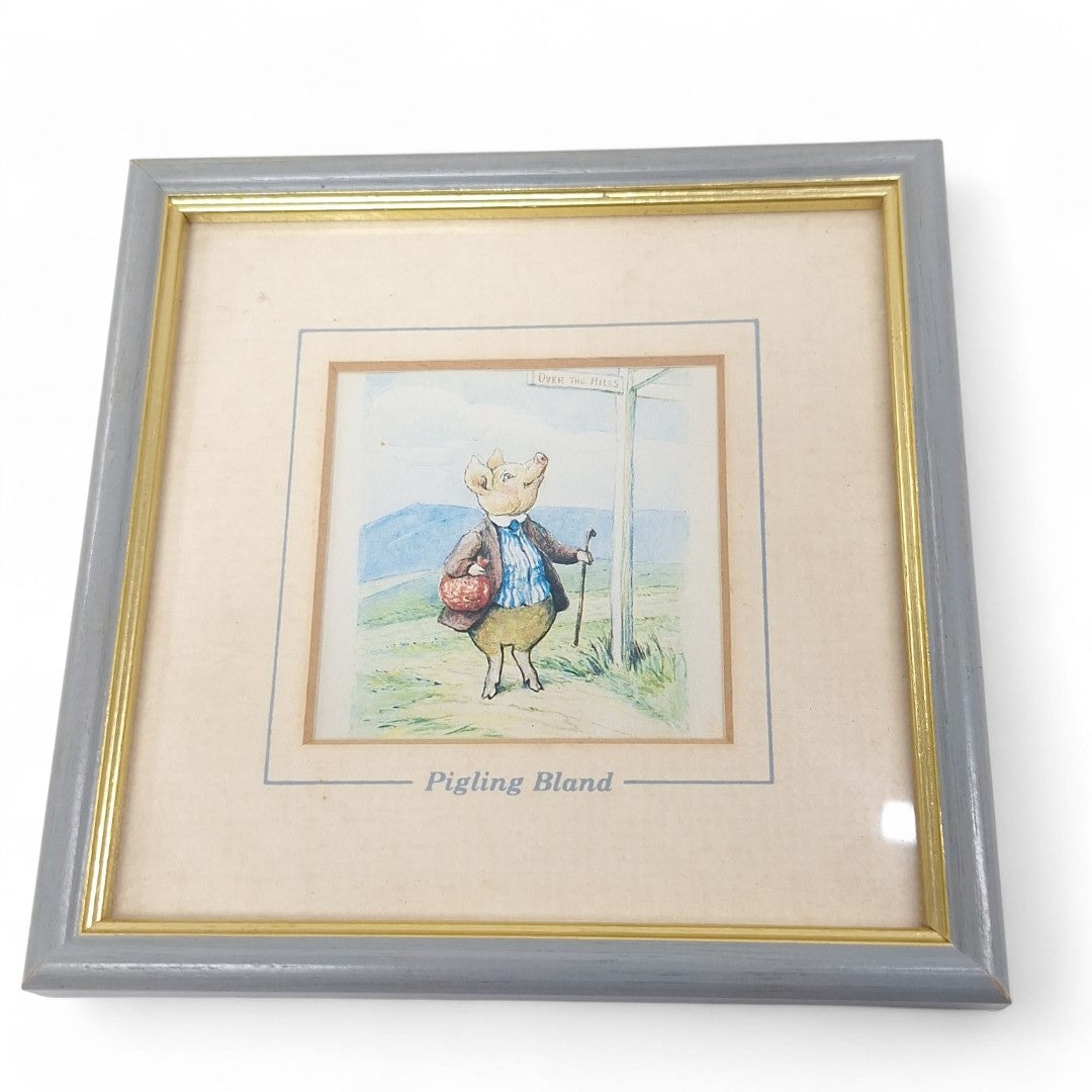 Close up image of Beatrix Potter Framed Print