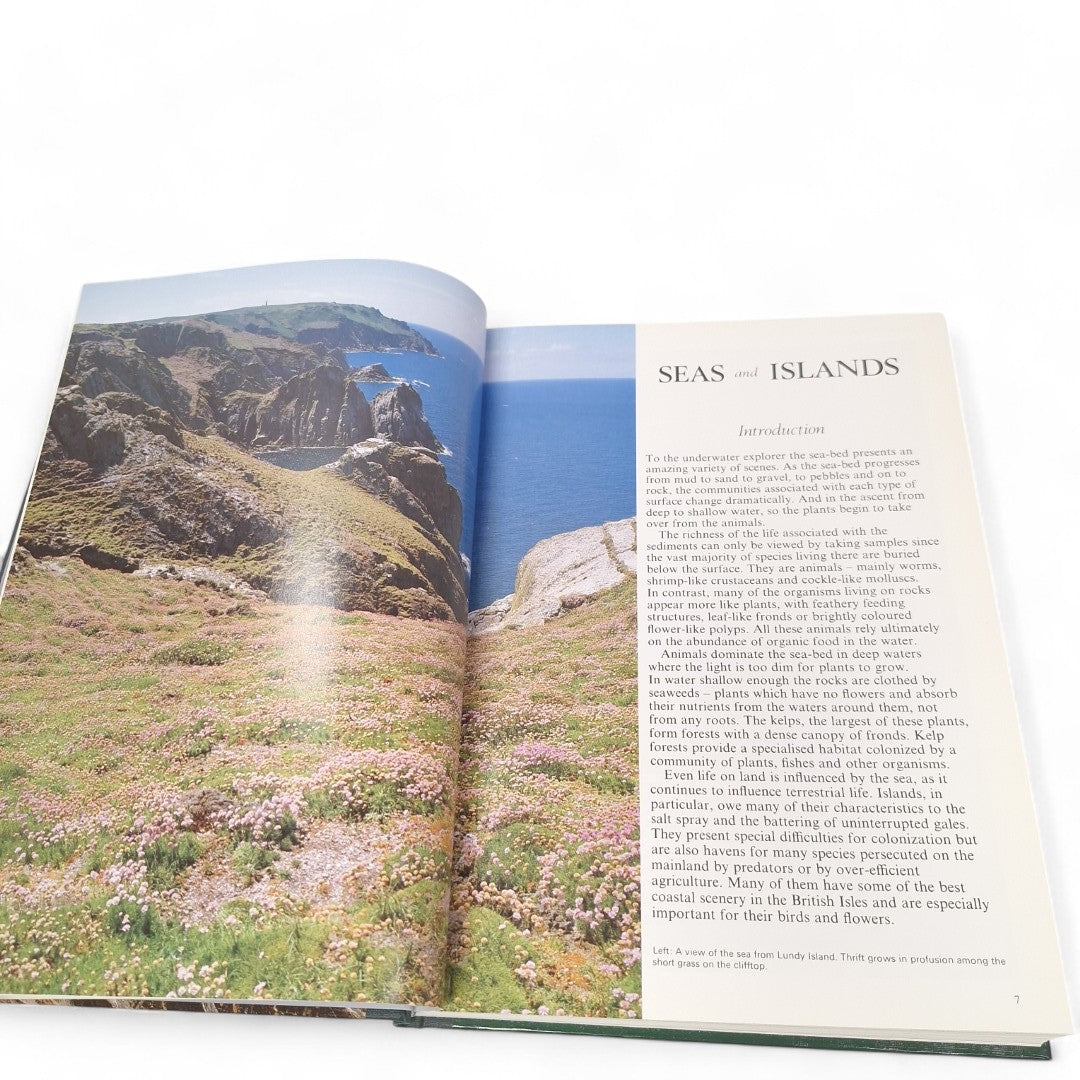 Interior image of Seas and Islands book