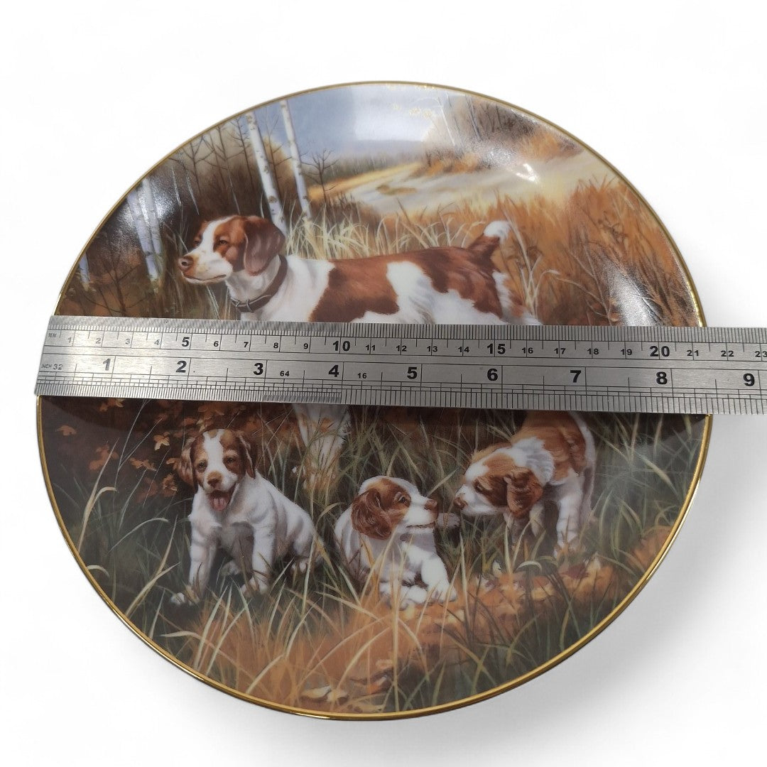 Measurement image of Classic Sporting Dogs Plate