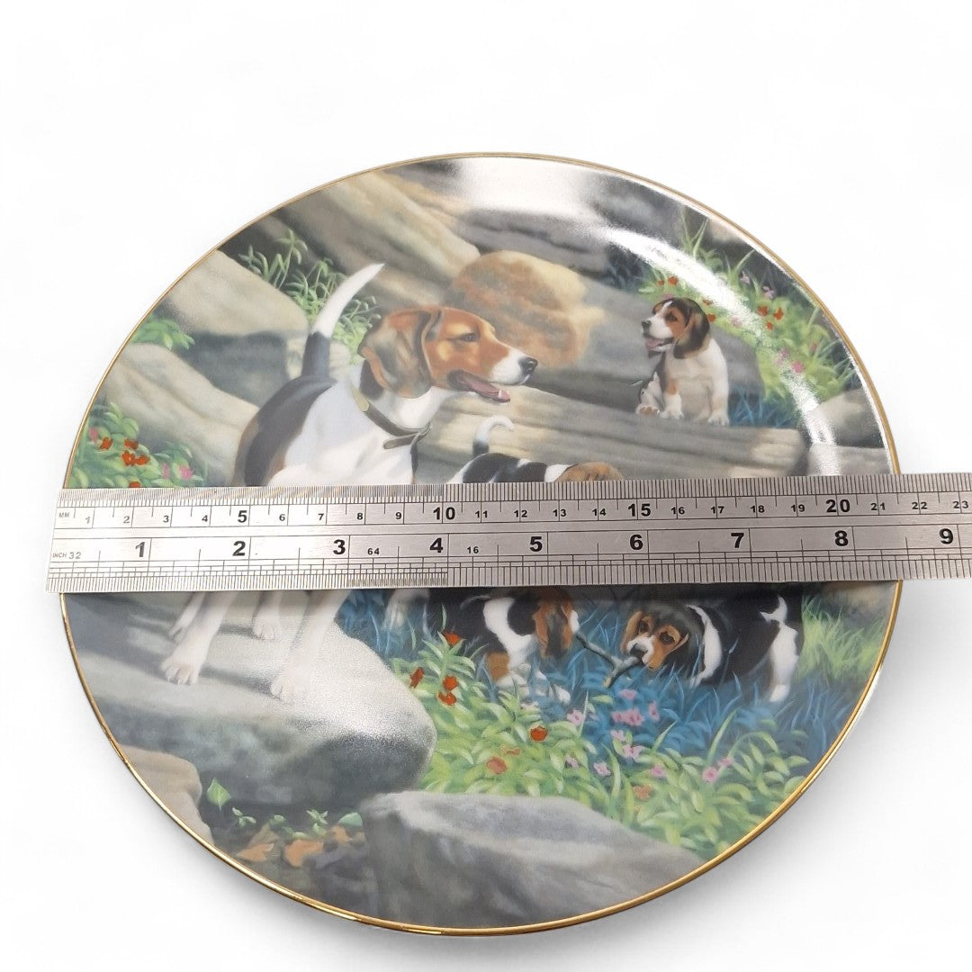 Measurement image of Classic Sporting Dogs Plate