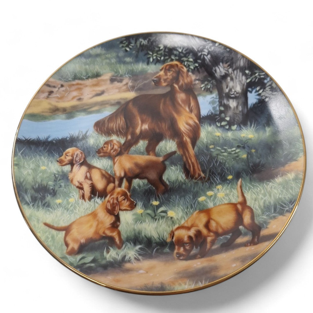 Close up image of Classic Sporting Dogs plate