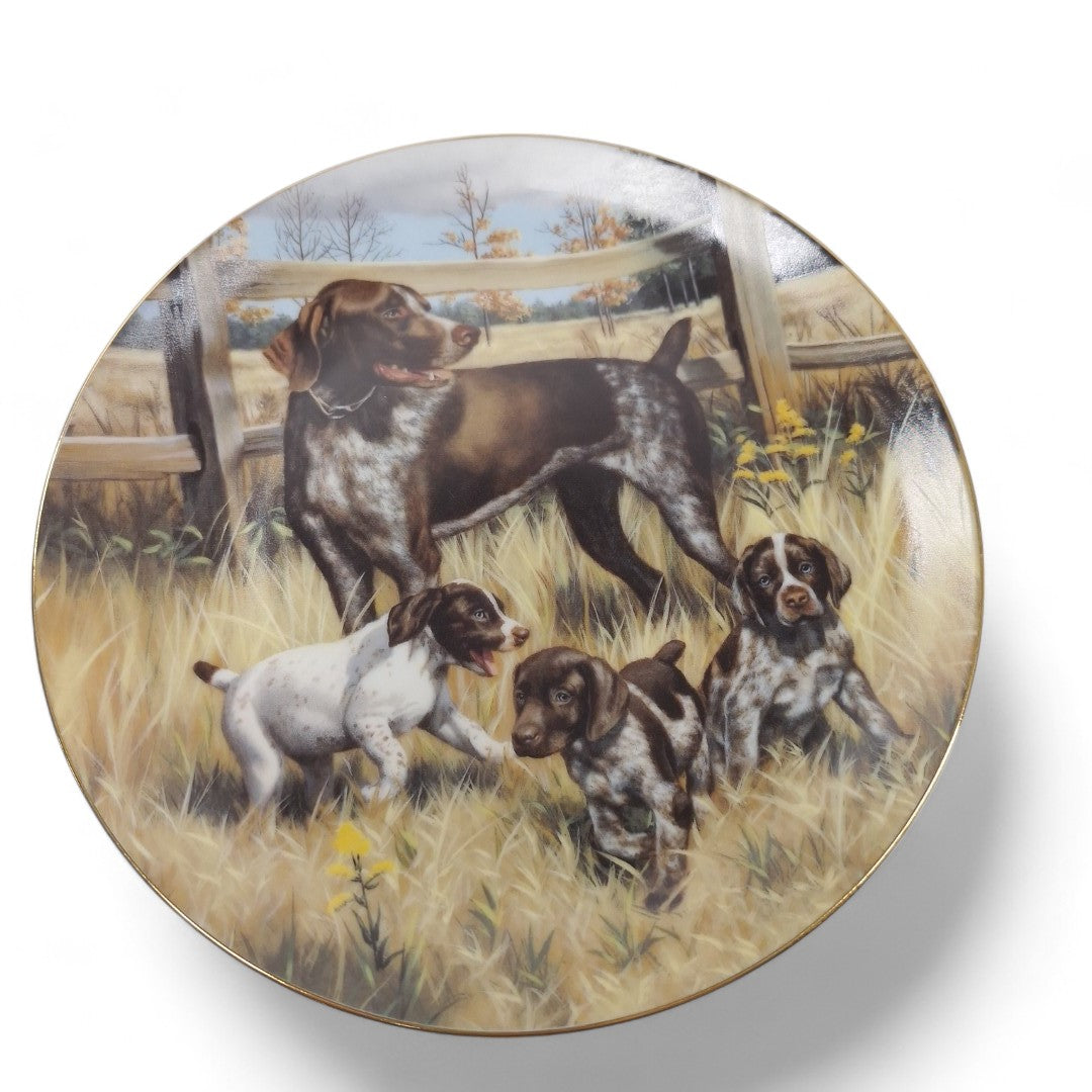 Front image of Classic Sporting Dogs plate