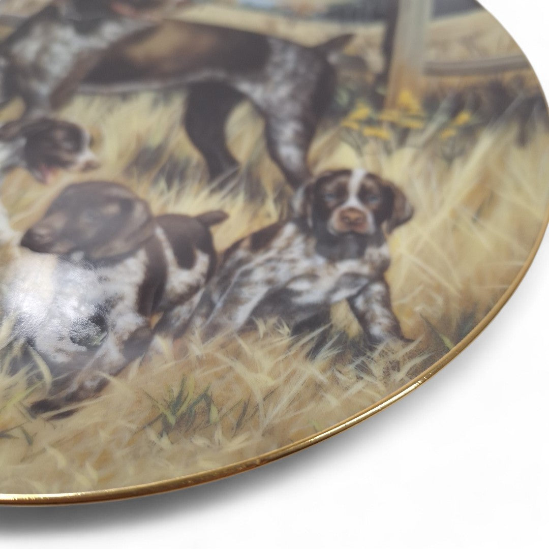 Close up image of Classic Sporting Dogs plate