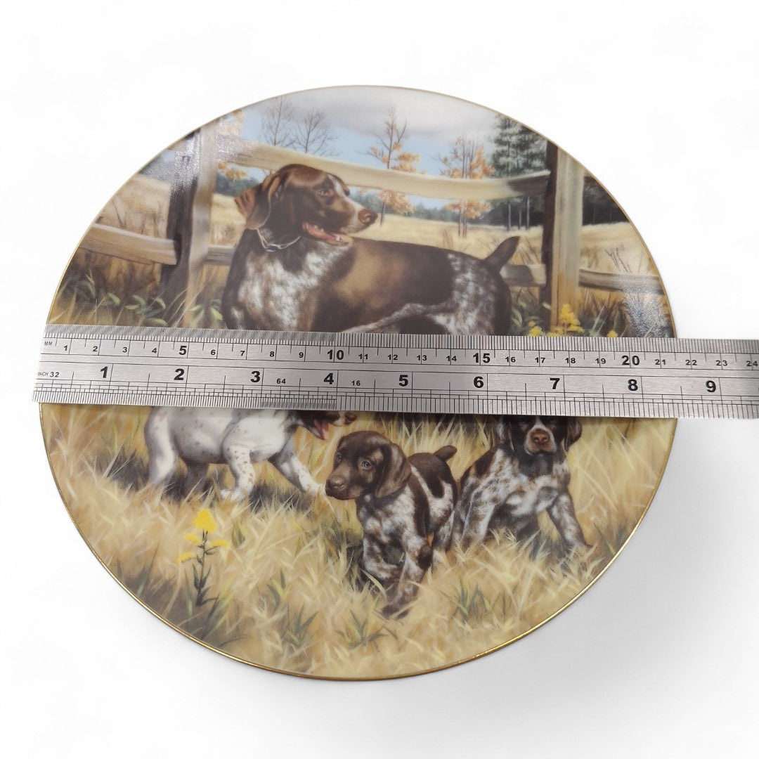 Measurement image of Classic Sporting Dogs plate