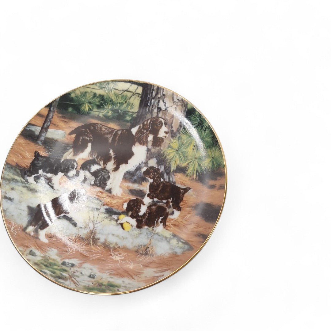 Front image of Classic Sporting Dogs plate