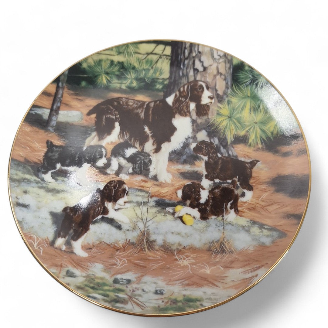 Front image of Classic Sporting Dogs plate